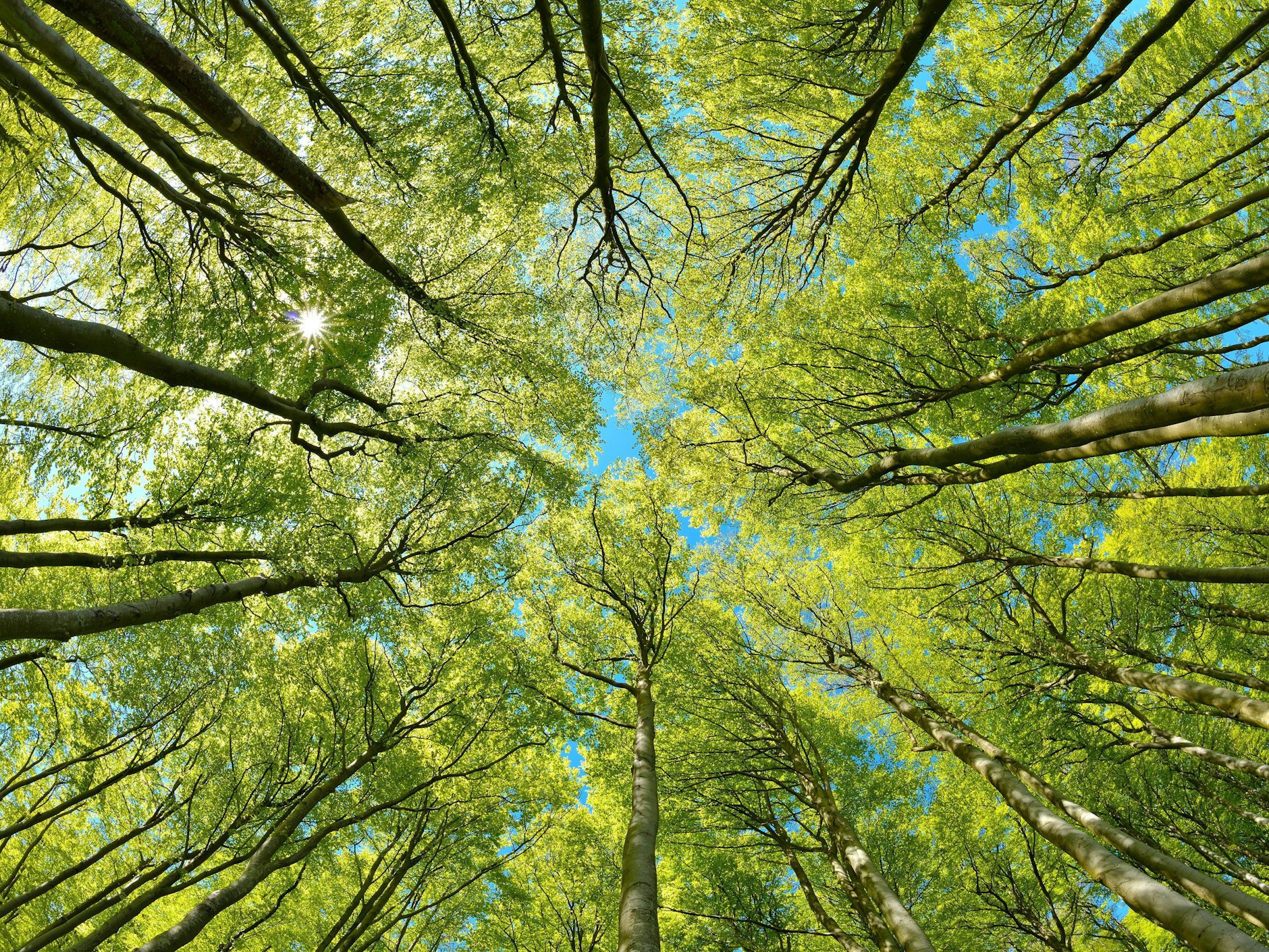 Wenn man den Blick nach oben richtet, ist auch wieder ein Stück Himmel zu sehen.