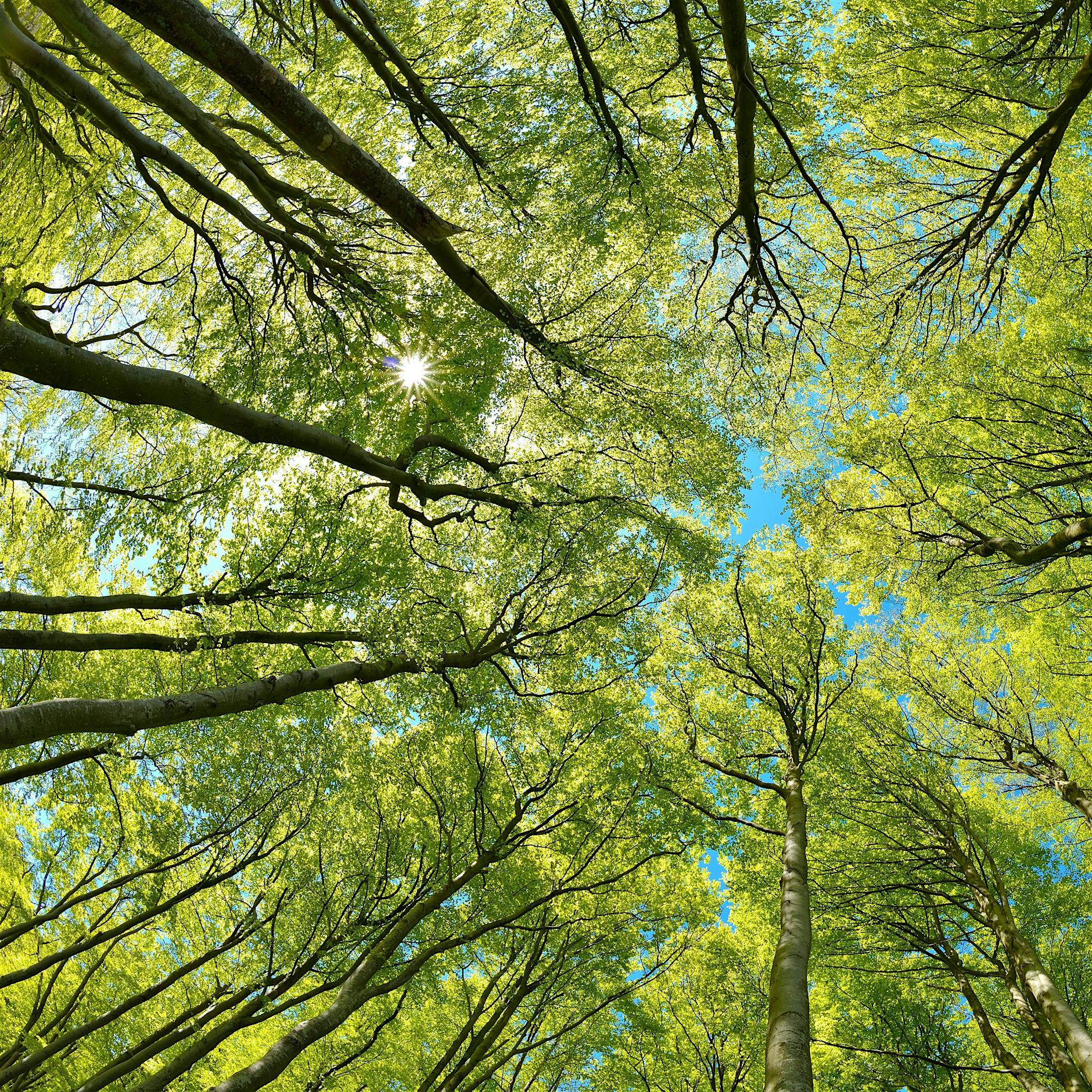 Geh’ mir weg mit deiner Lösung!