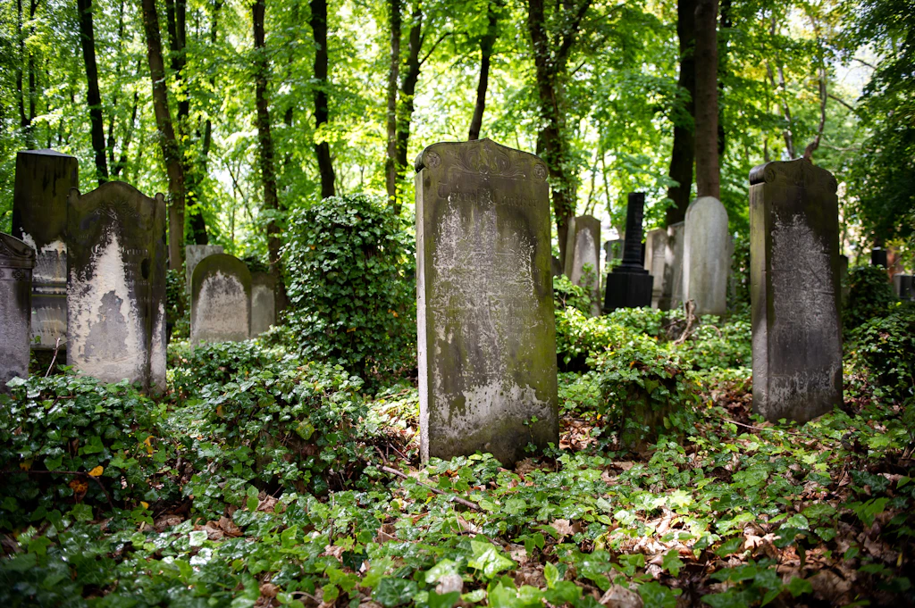 Jüdischer Friedhof Weißensee: Vergissmeinnicht und der Geist des Golem