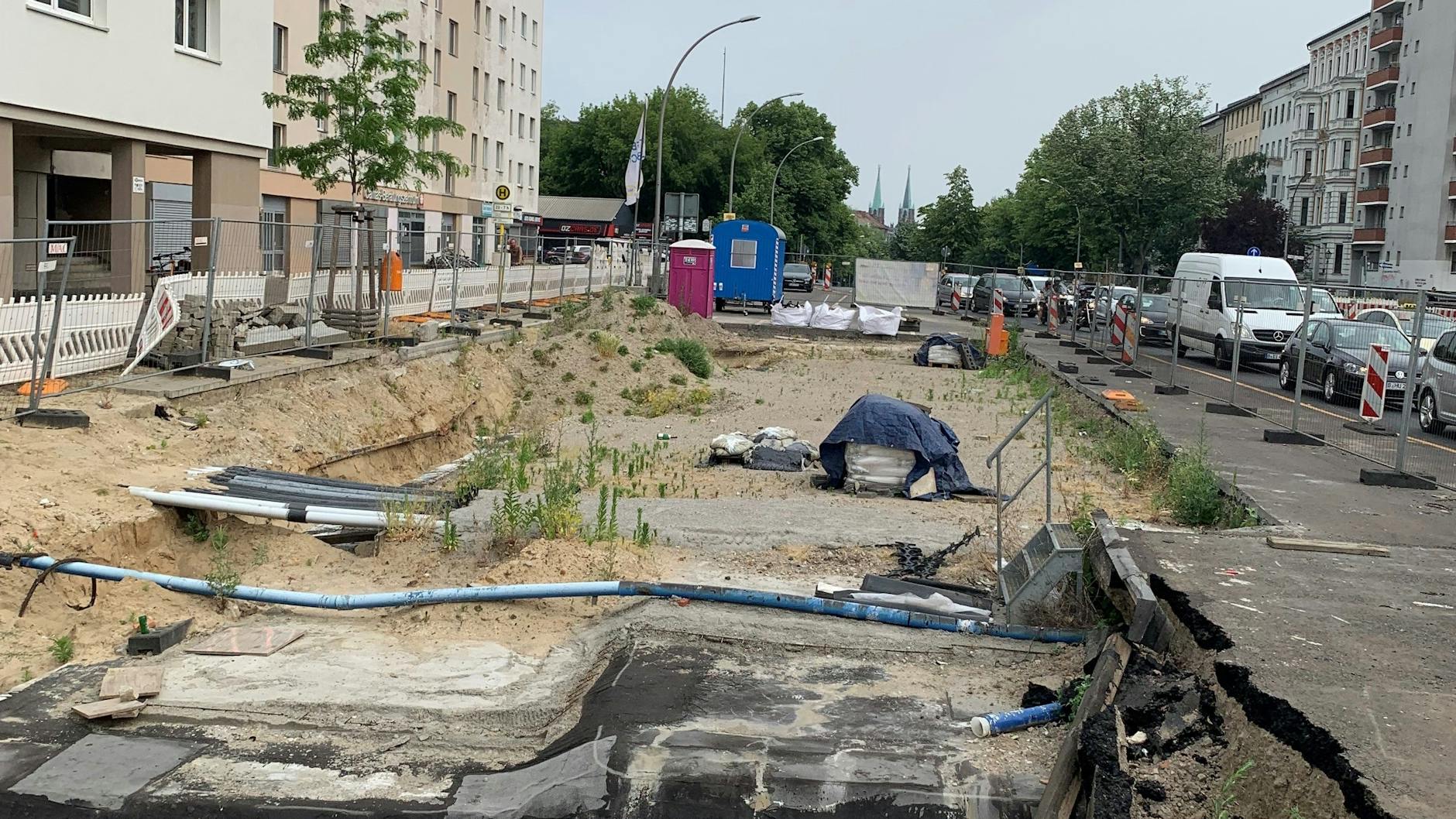 Allmählich breiten sich sogenannte Pionierpflanzen auf der Baustelle Mehringdamm aus.