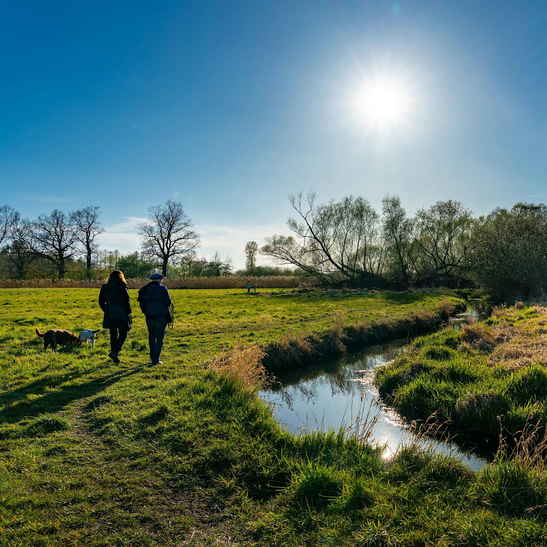 Diese Wanderstrecken in Berlin und Brandenburg sollten Sie kennen