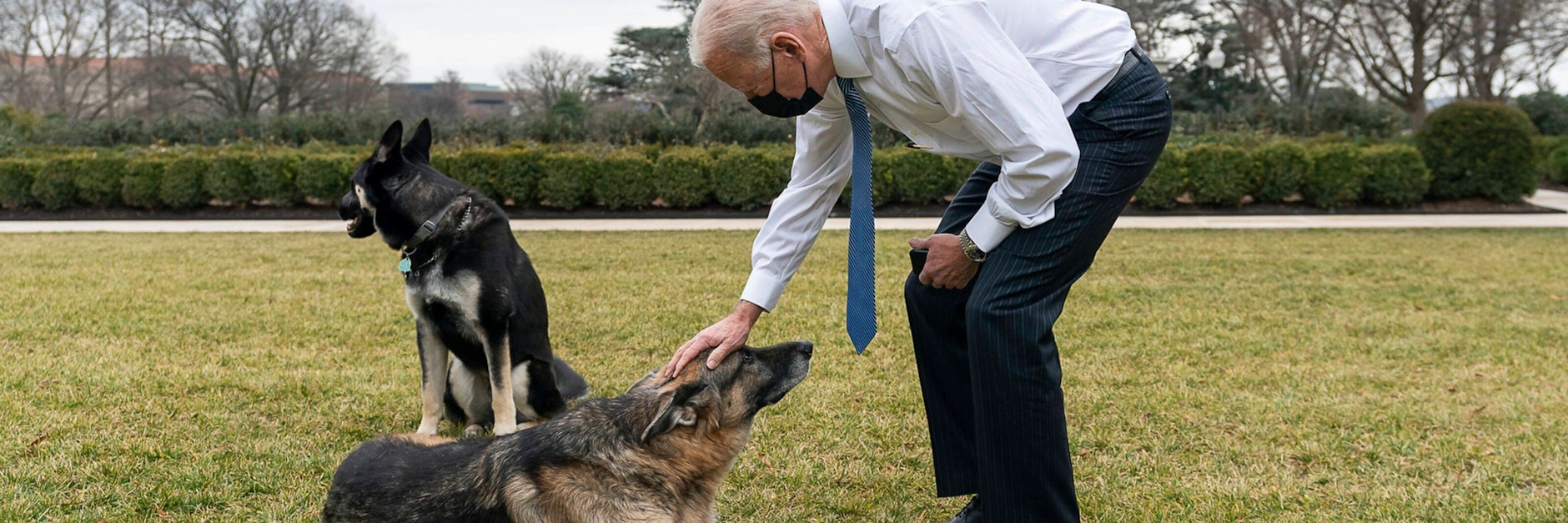 US-Präsident Joe Biden streichelt Champ über den Kopf – jetzt starb der Deutsche Schäferhund.