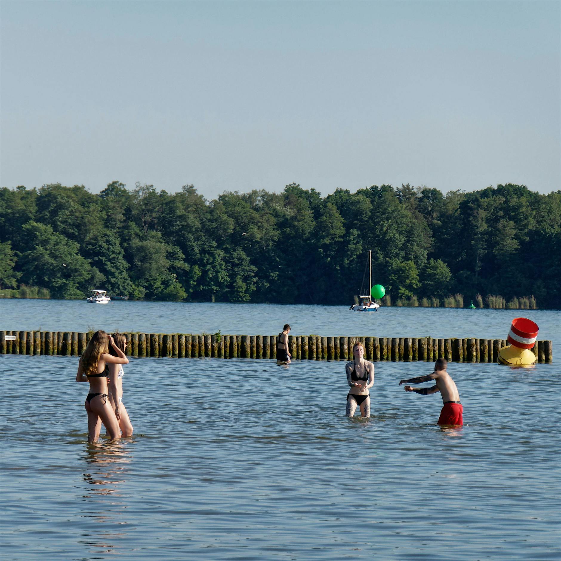 Saugwurm-Larven: Diese Berliner Badeseen sind betroffen