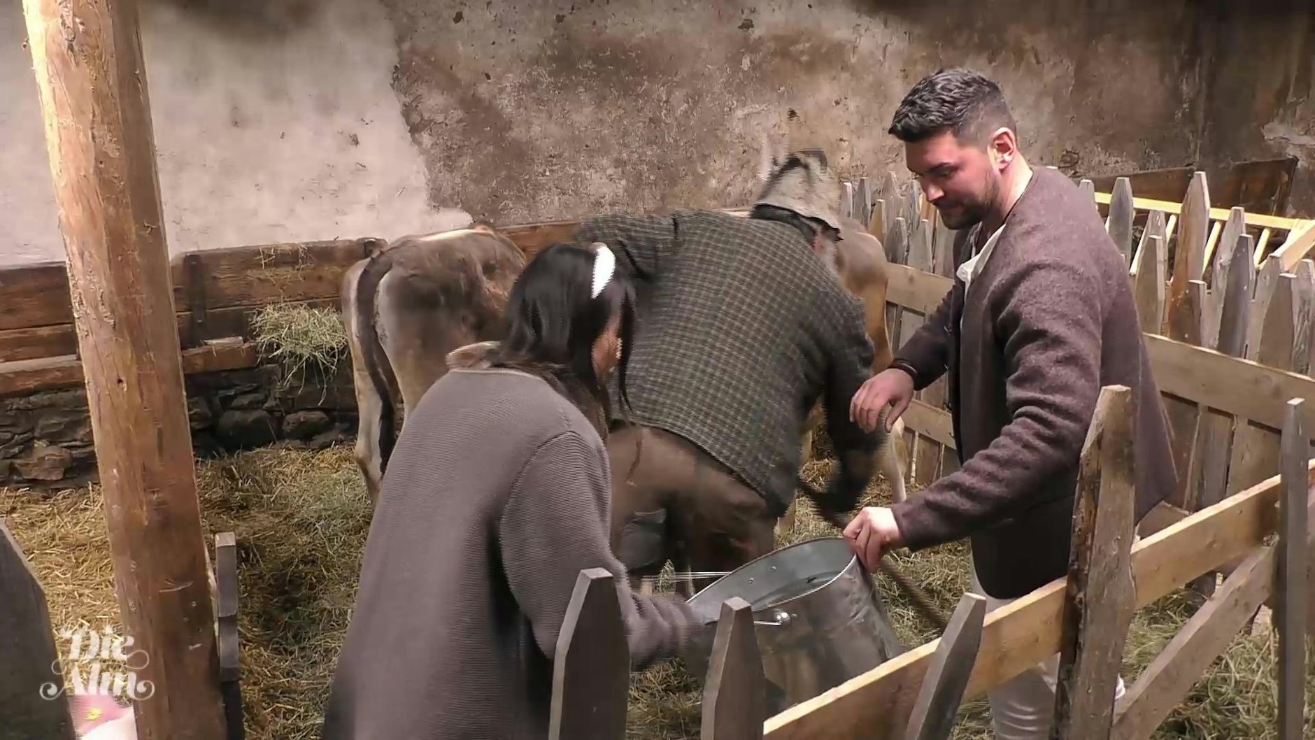 Ioannis Amanatidis und Katharina Eisenblut während ihres Stalldienstes bei „Die Alm“.