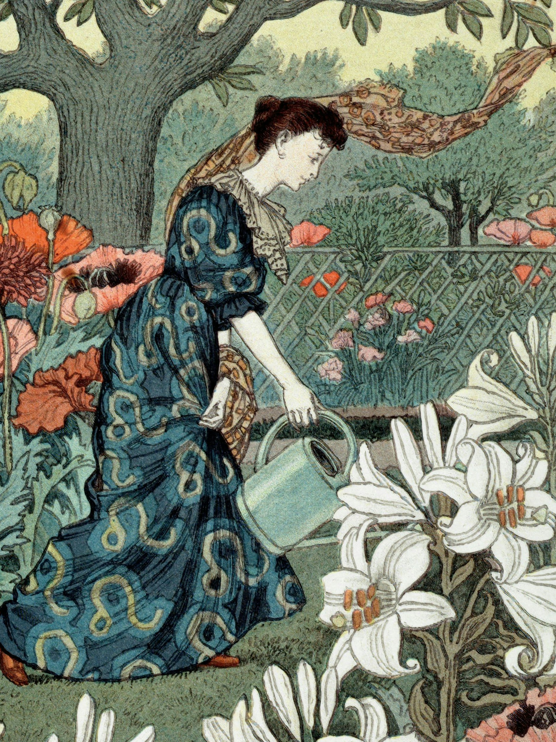 Hübsch ein bisschen Wasser aus der Kanne schubsen, wie auf der Zeichnung aus 1896, reicht bei der aktuelle Hitze nicht aus.