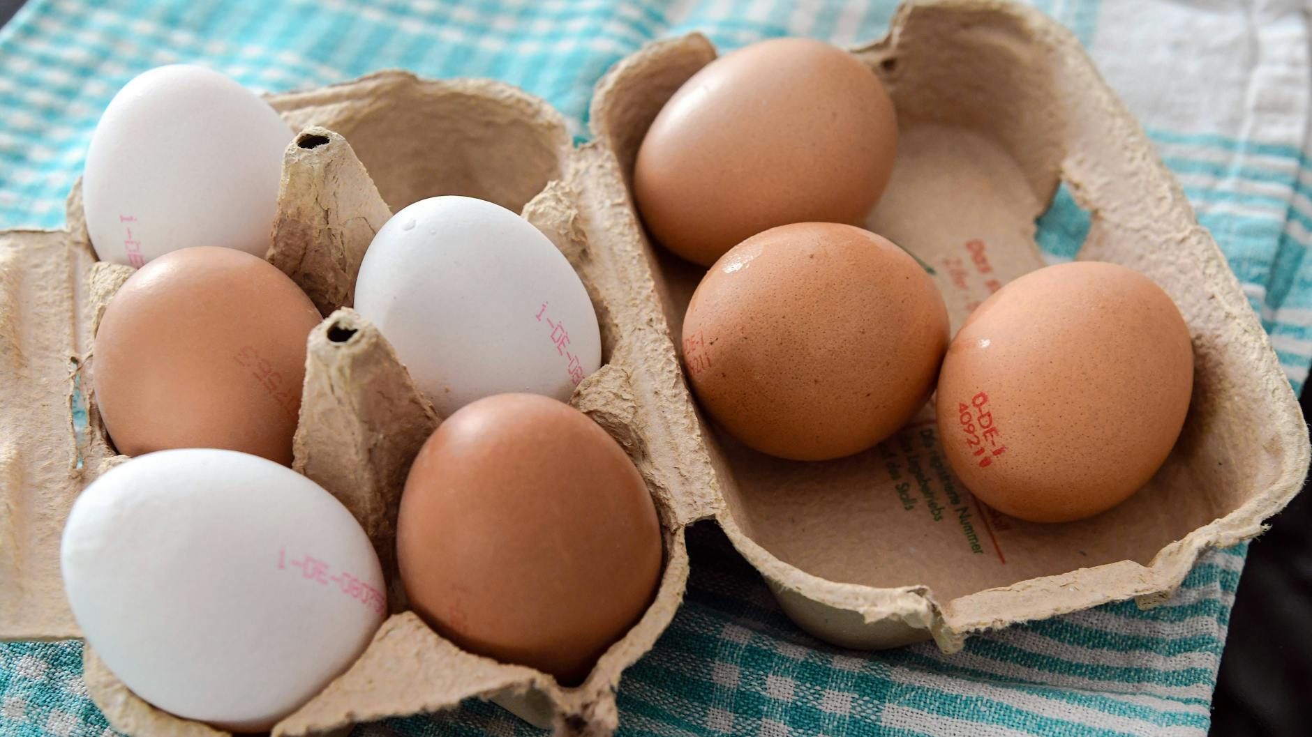 Das Austauschen der Eier in den Kartons ist untersagt.
