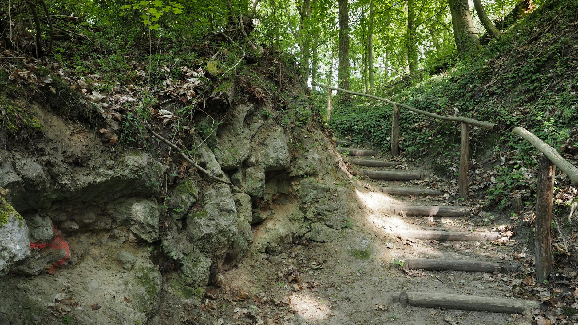 Am Mellensee/OT Sperenberg: Die Landschaft mit Wanderweg bei den ehemaligen Sperenberger Gipsbrüchen.