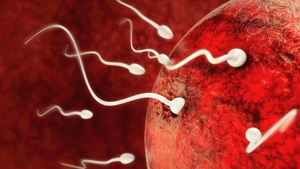 Mögliche Impf-Folge: Machen mRNA-Vakzine impotent?