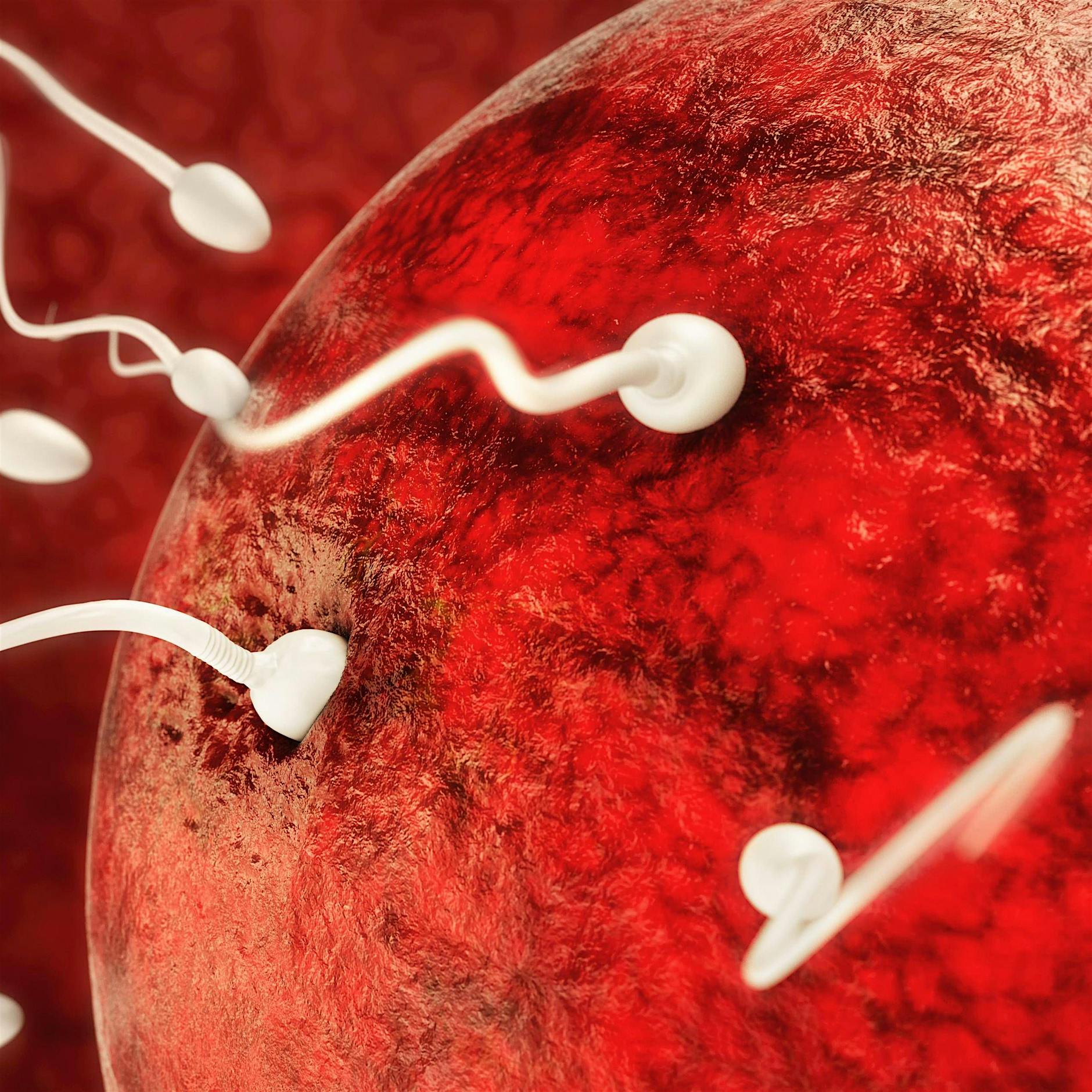 Mögliche Impf-Folge: Machen mRNA-Vakzine impotent?