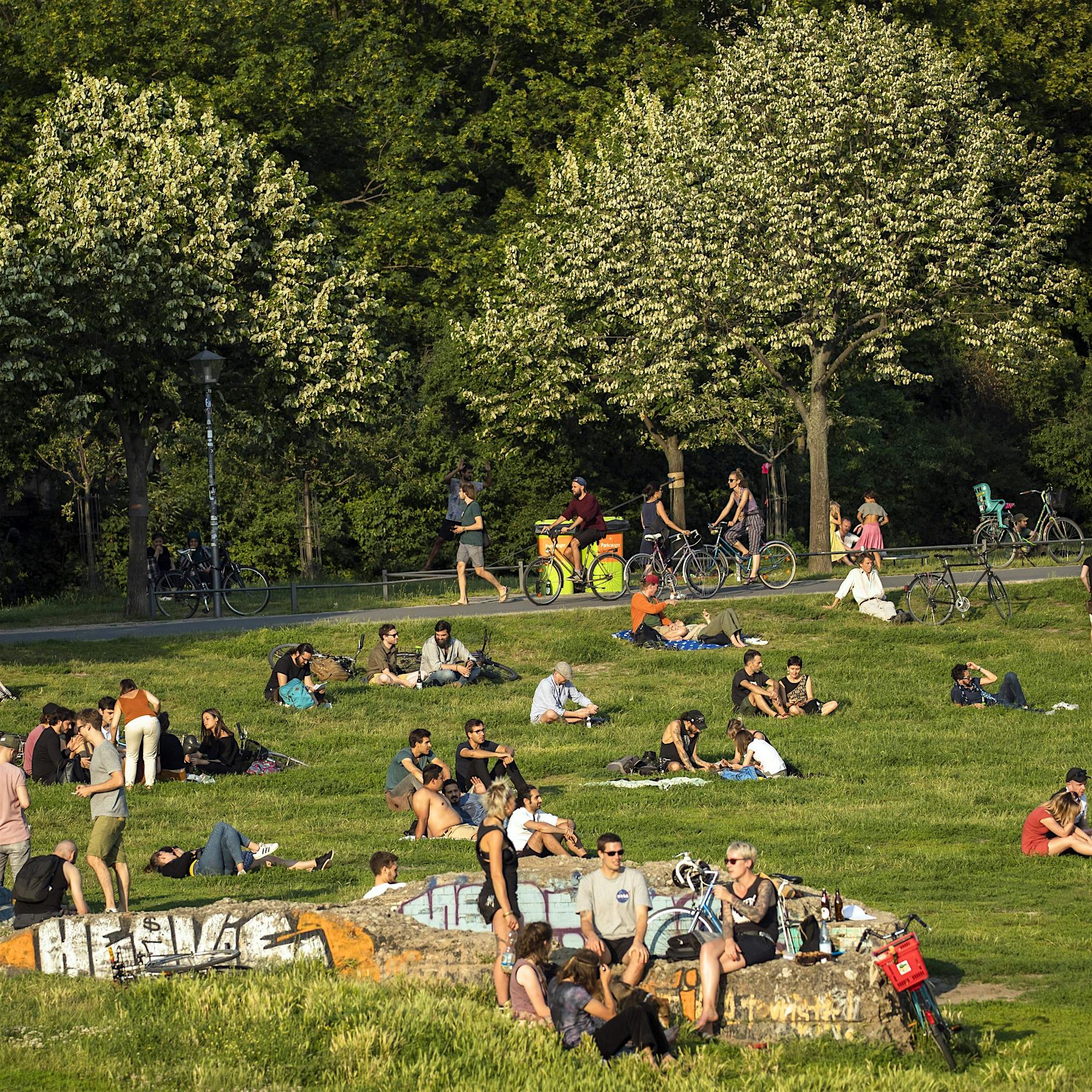 Bring on the silly season