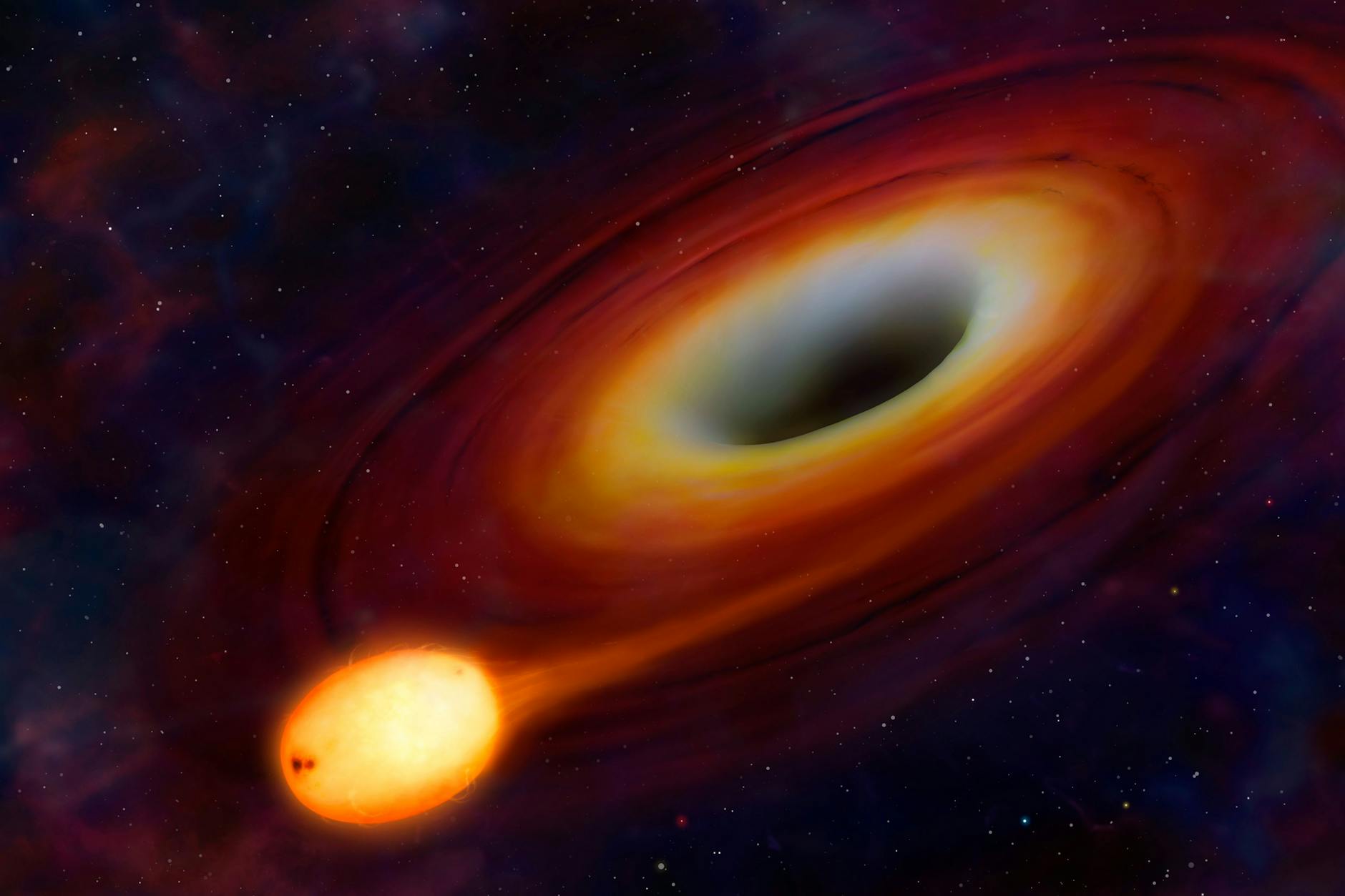 Die grafische Darstellung zeigt einen Stern, der von einem Schwarzen Loch im Weltall eingesogen und zerrissen wird. Es handelt sich in der Grafik nicht um einen Neutronenstern. 