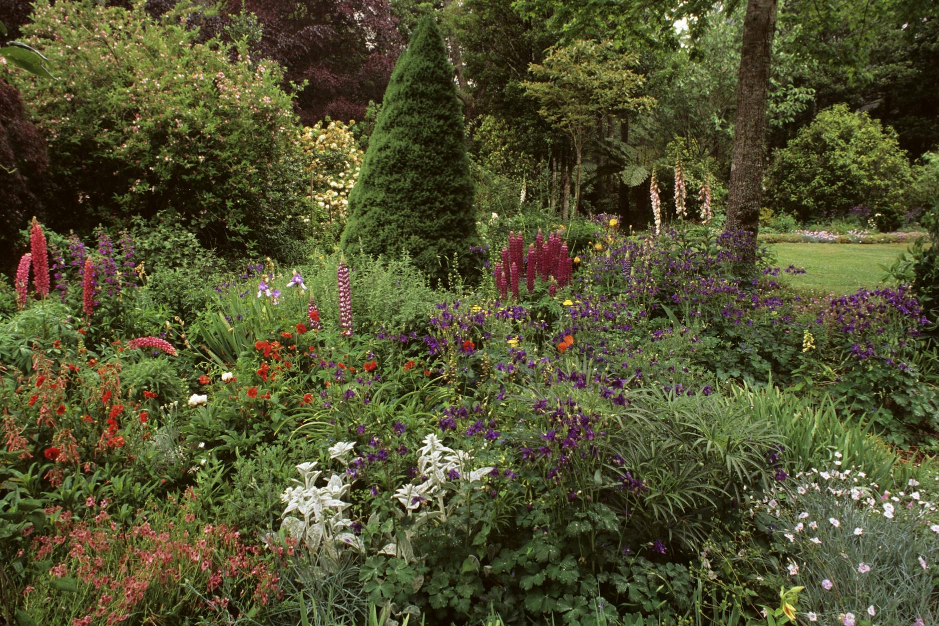 Ein wildes Beet verschiedenster Blattformen, dazu ein akkurater Rasen – die perfekte Kombi, meint der Profi.