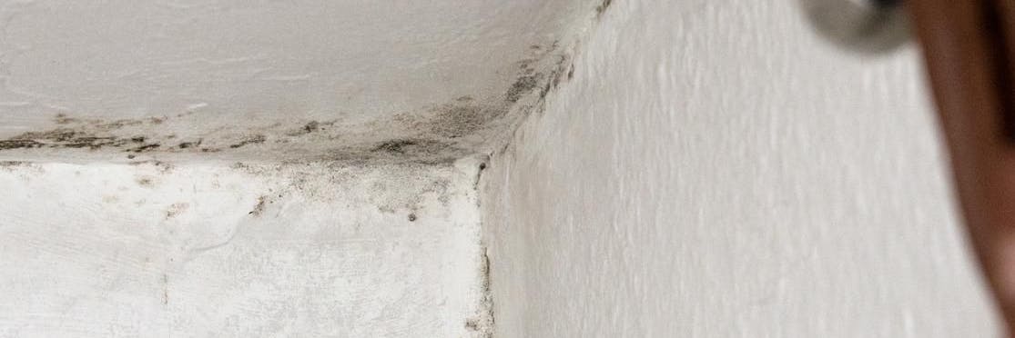 Schimmel in einer Wohnung. Ursache kann falsches Lüften sein (Symbolbild).