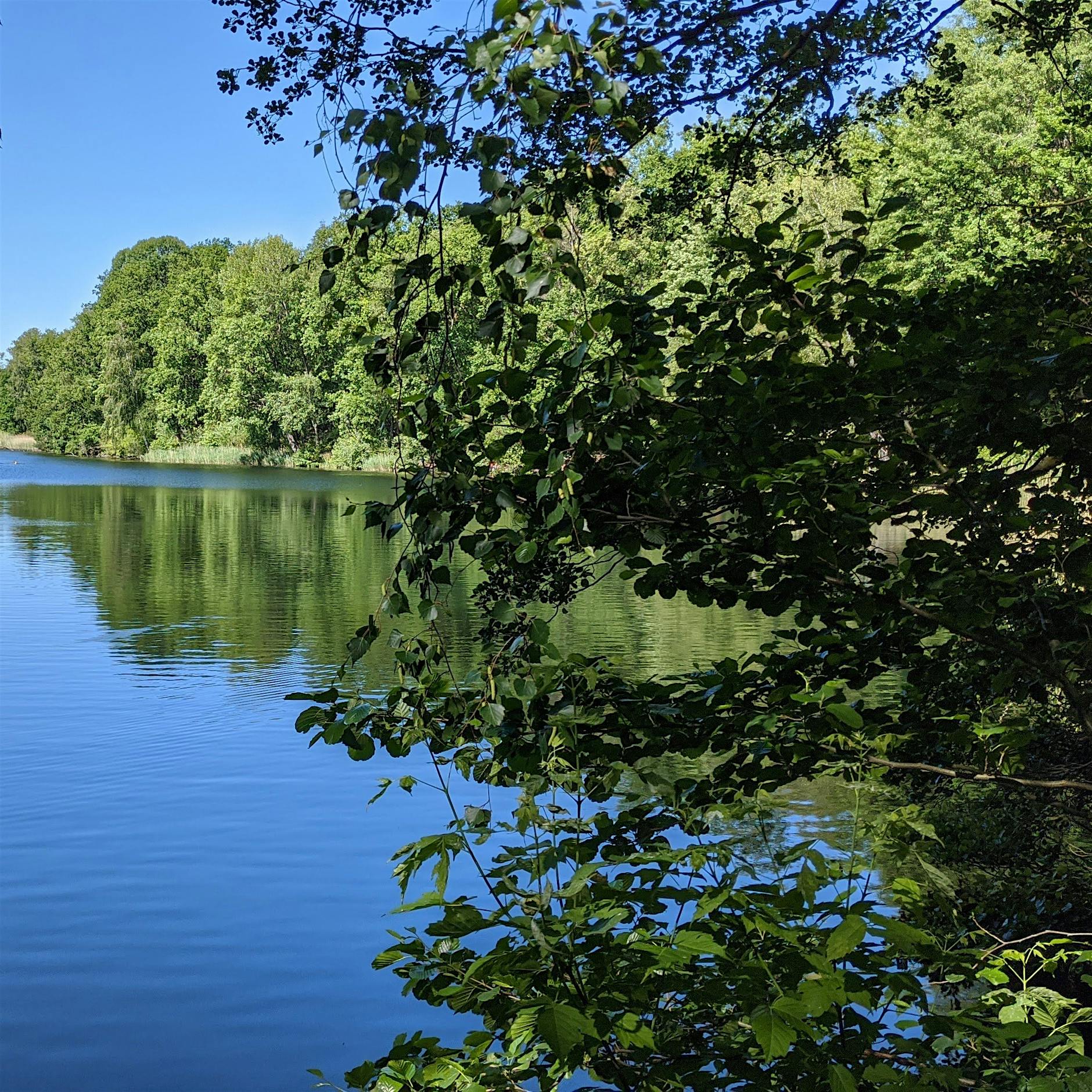 Der Vorteil der Krümmung