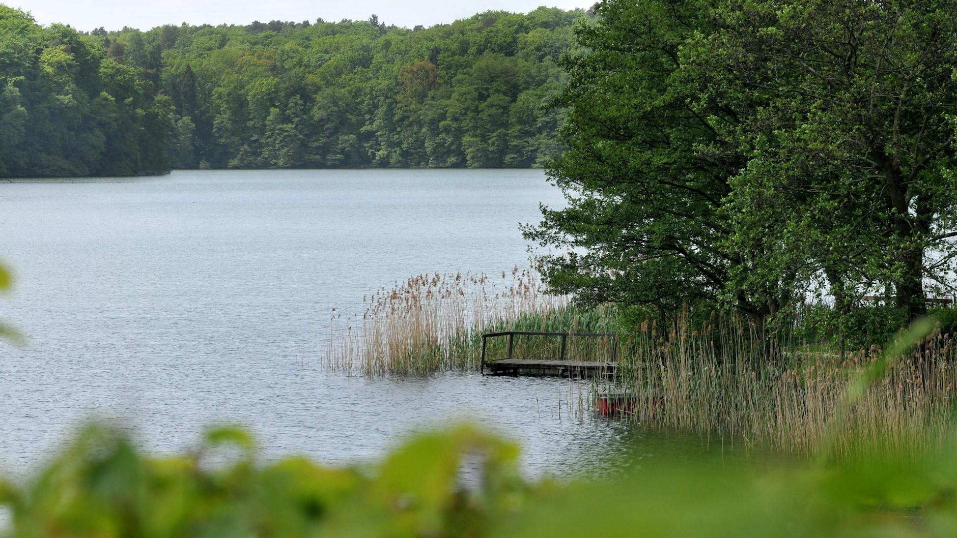 Kalksee in Binenwalde. <br><br>