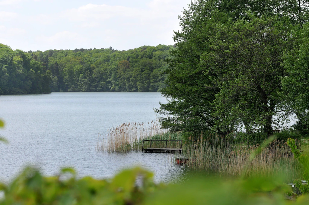 Schön einsam, aber ohne Eis in Binenwalde