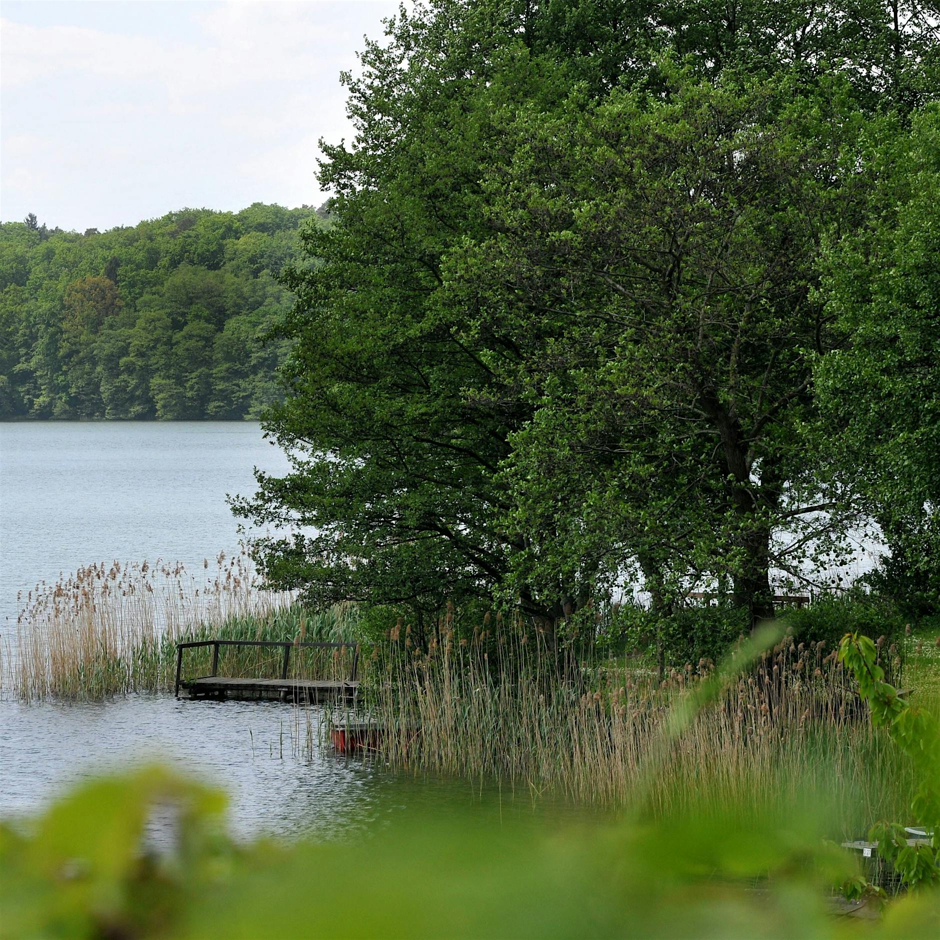 Schön einsam, aber ohne Eis in Binenwalde