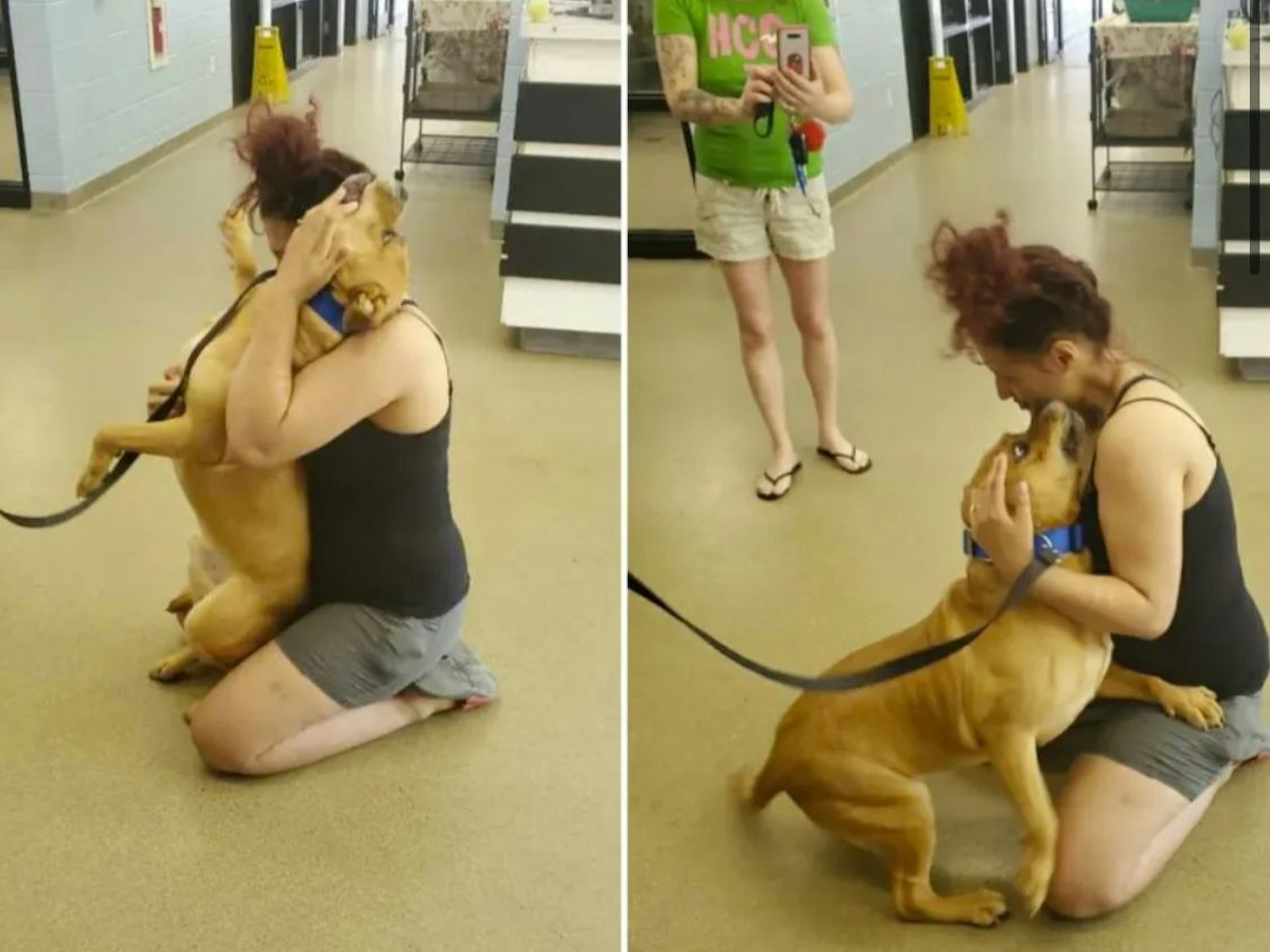 Wiedersehen nach zwei Jahren: Aisha und Kovu