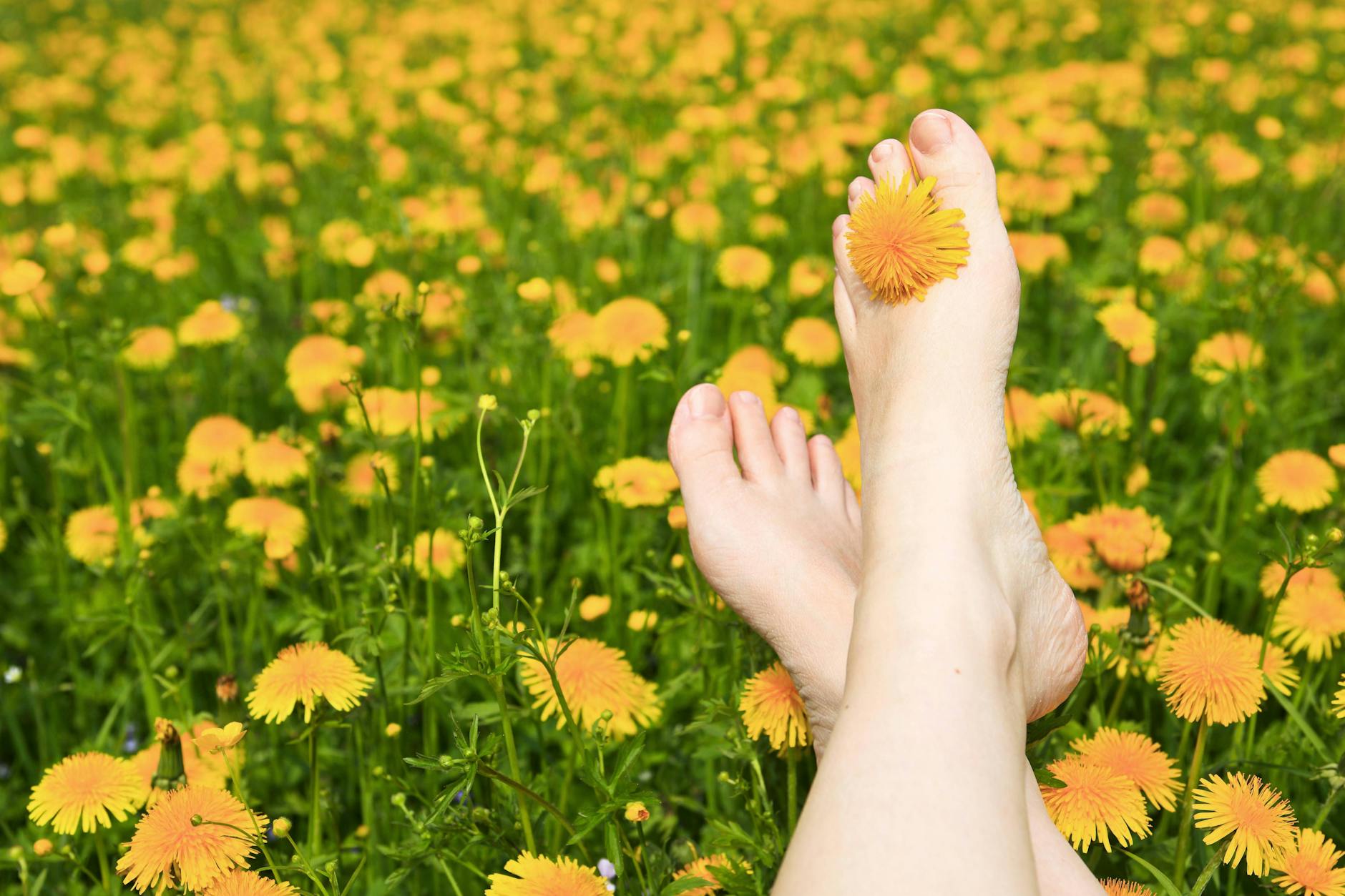 Weil sich eine Frau in Berlin oben ohne gesonnt hat, kam die Polizei. 