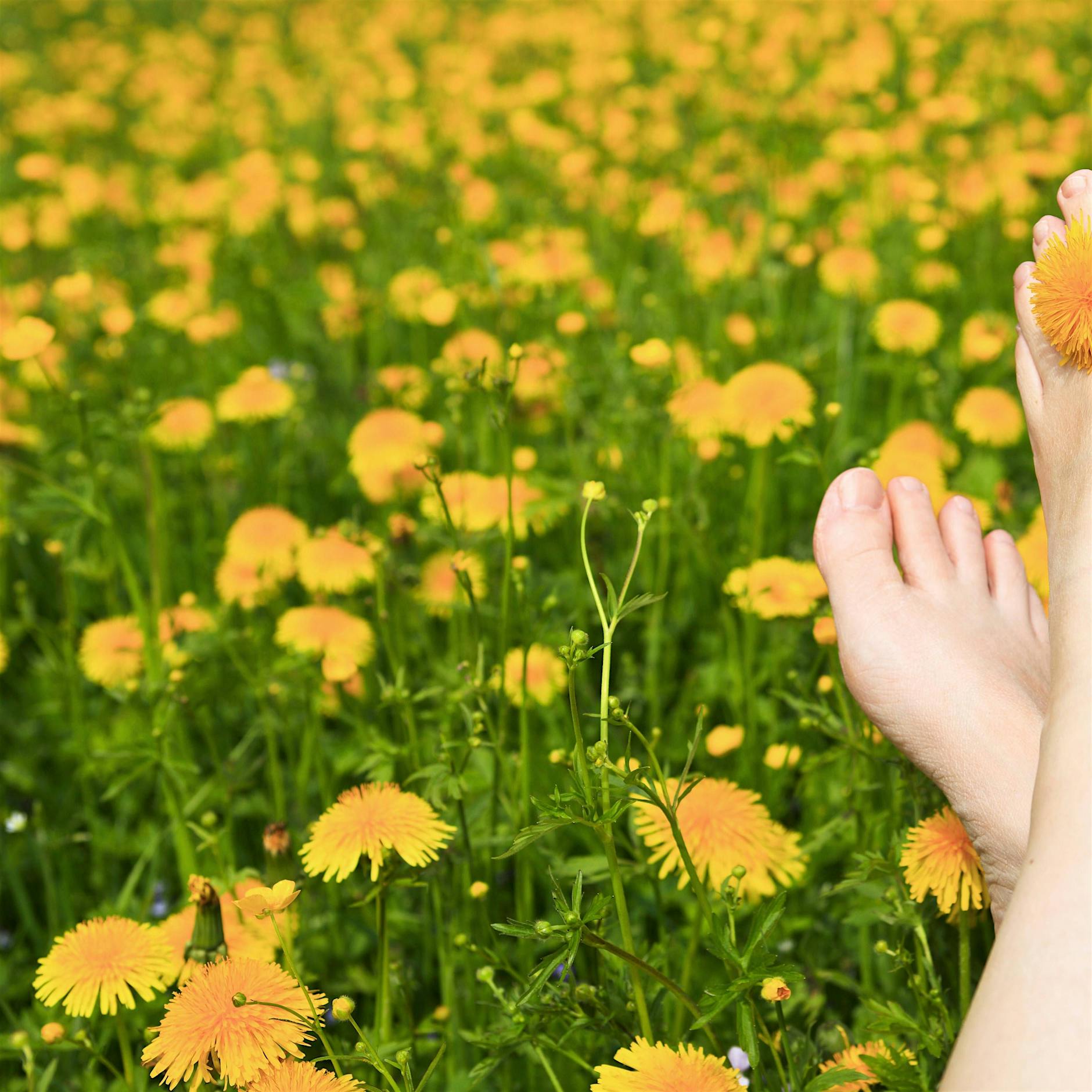 Berlin: Mutter sonnt sich mit freiem Oberkörper an Plansche - Polizeieinsatz