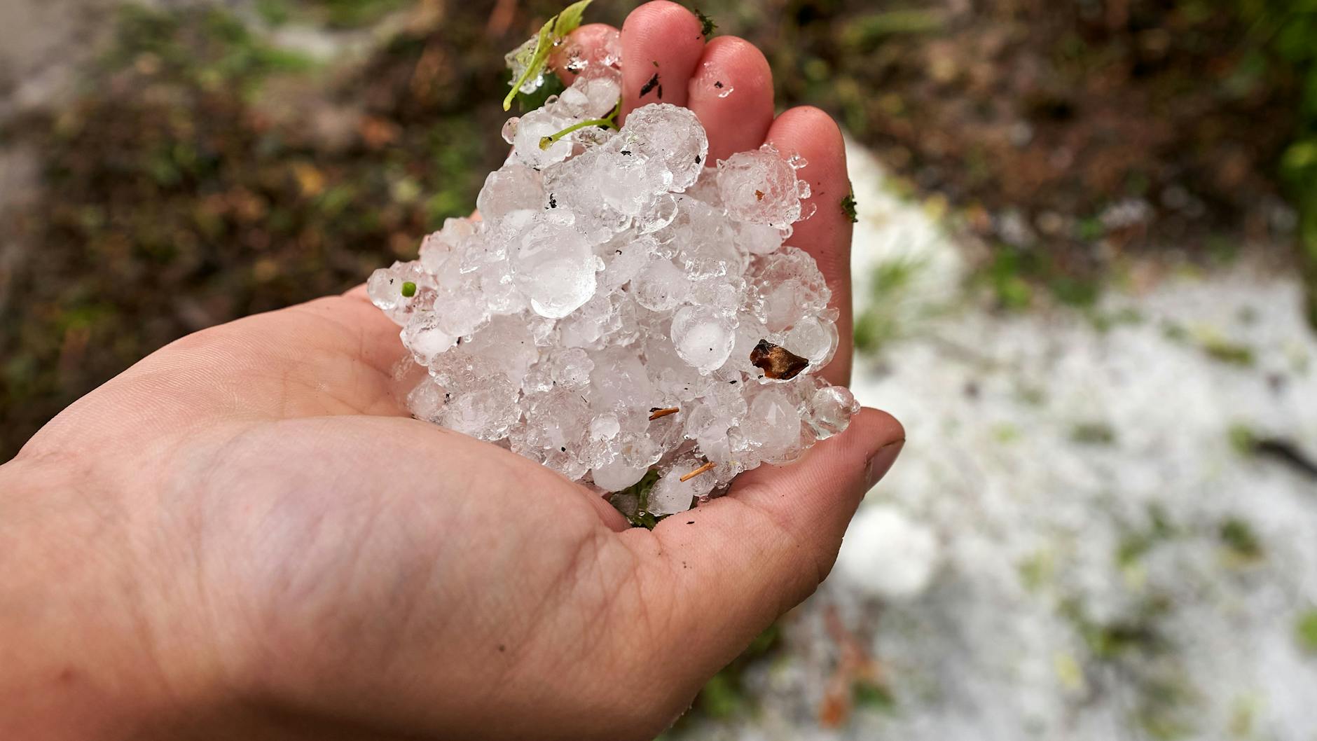 Riesige Hagelkörner sind bei einem Gewitter am Mittelrhein niedergegangen. 