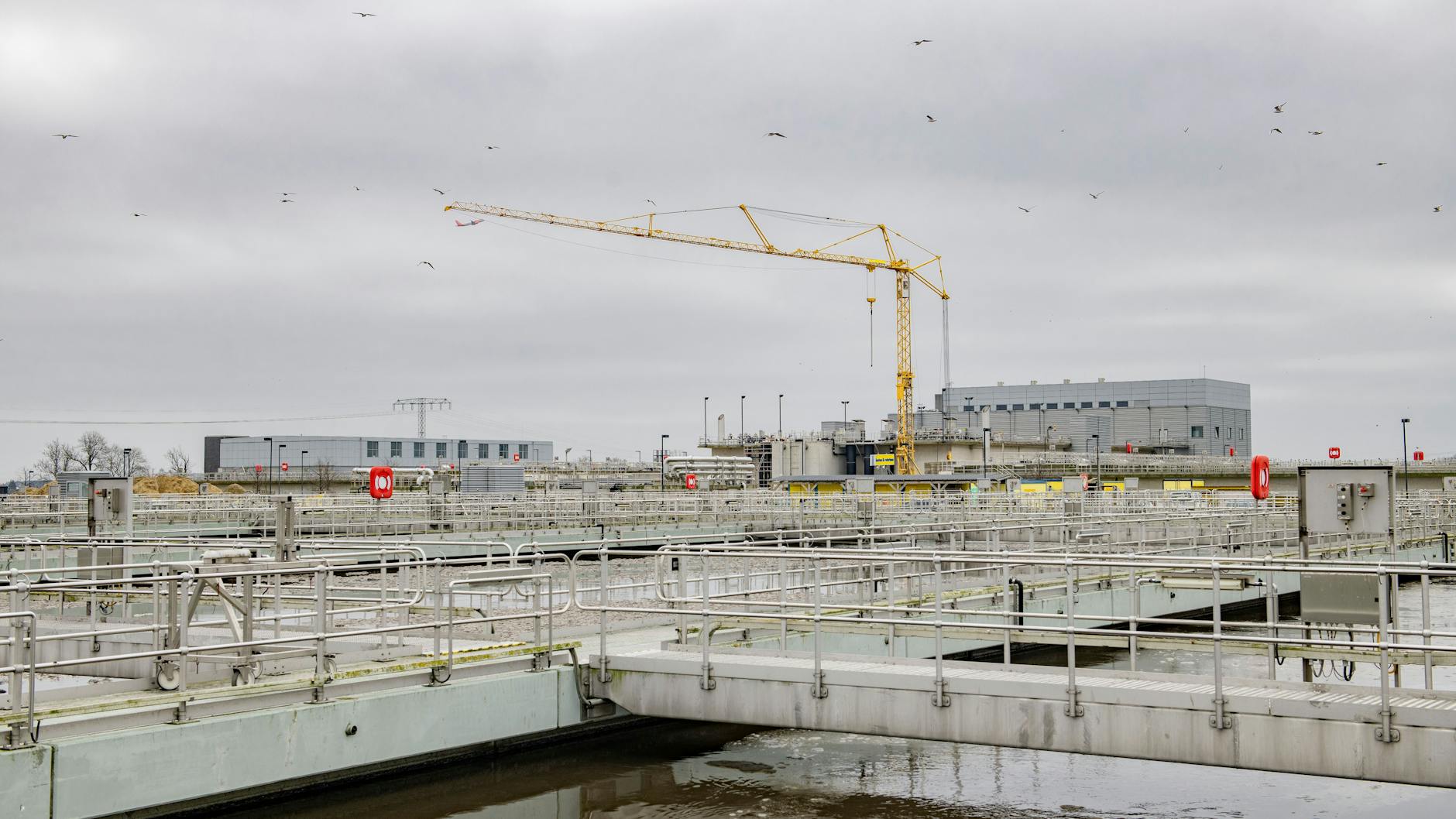 Hier landet unser Abwasser: Klärbecken im Klärwerk Waßmannsdorf, einem von sechs Berliner Klärwerken.