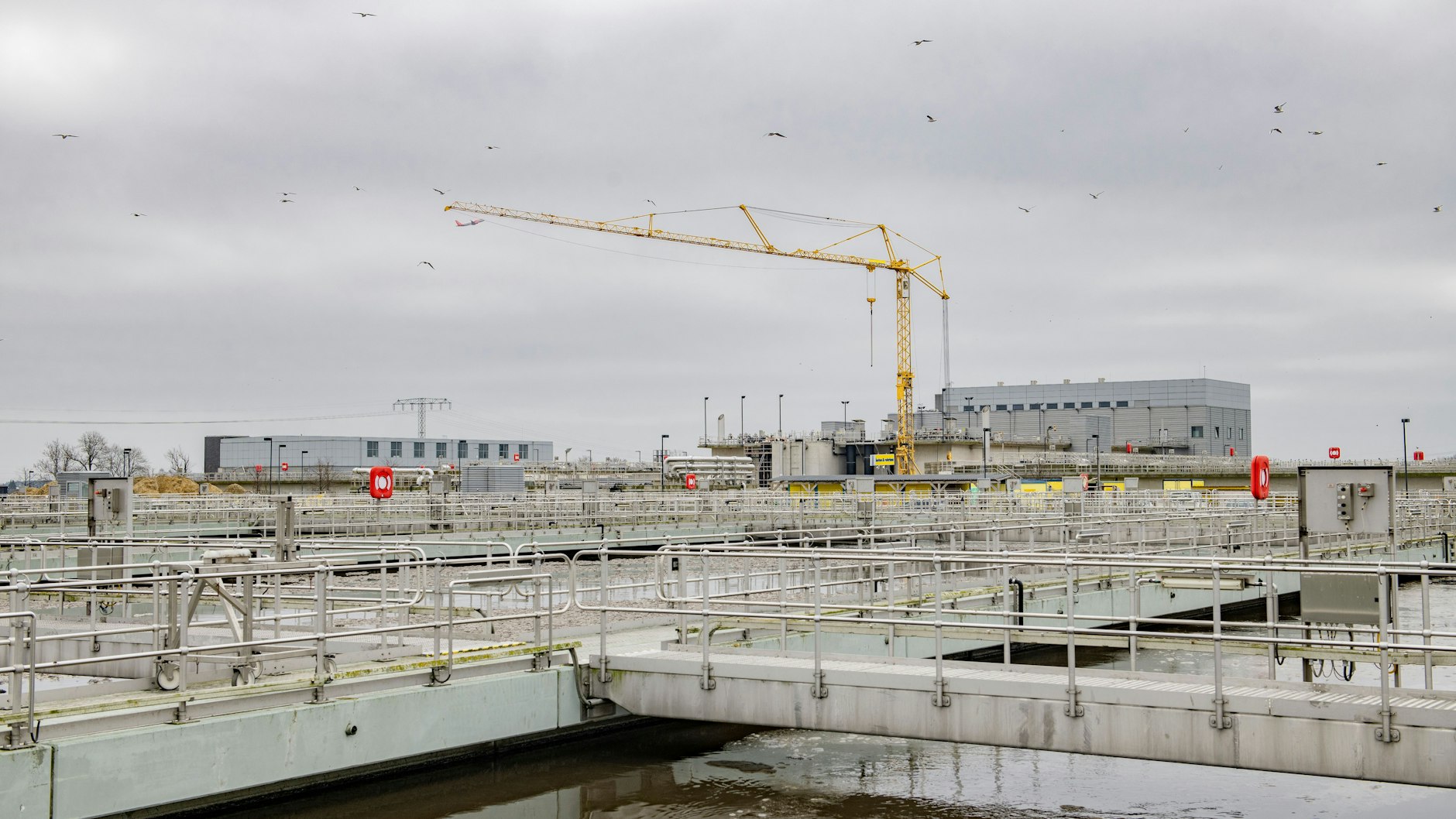 Hier landet unser Abwasser: Klärbecken im Klärwerk Waßmannsdorf, einem von sechs Berliner Klärwerken.