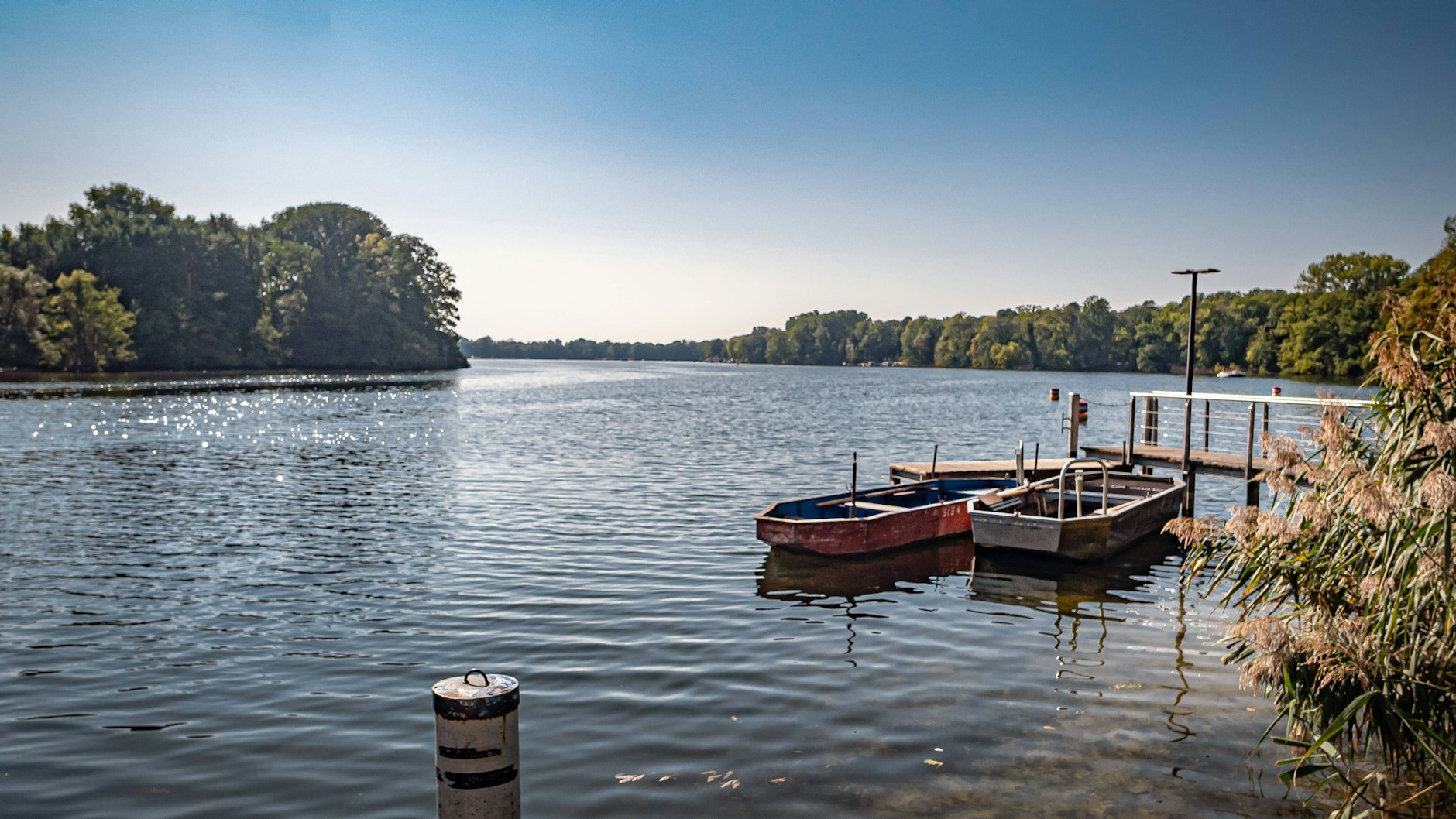 Die Tegeler See in Berlin (Archivbild). Wegen der Blaualgen ist das Baden ab sofort verboten.