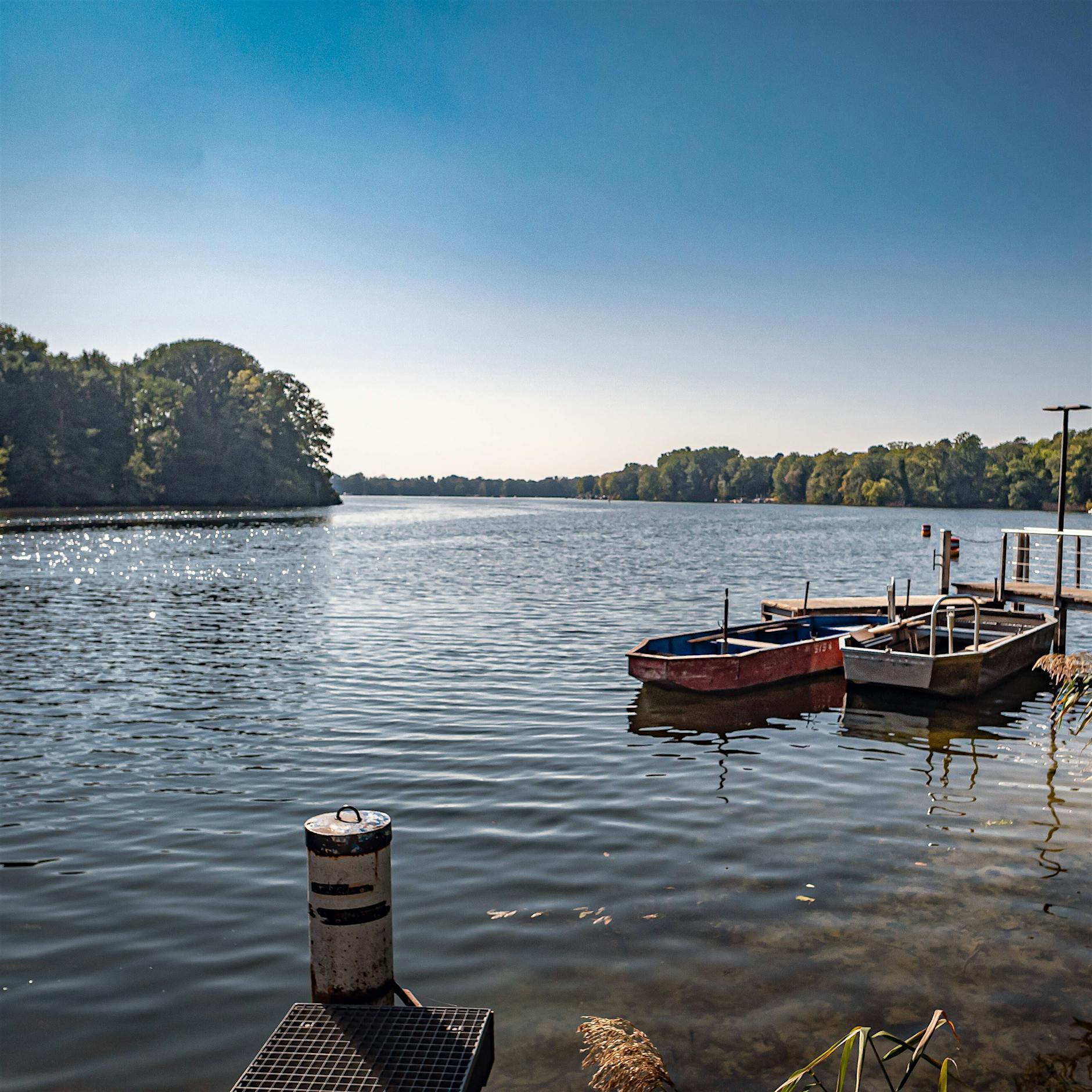 Blaualgen: Im Tegeler See ist das Baden ab sofort verboten