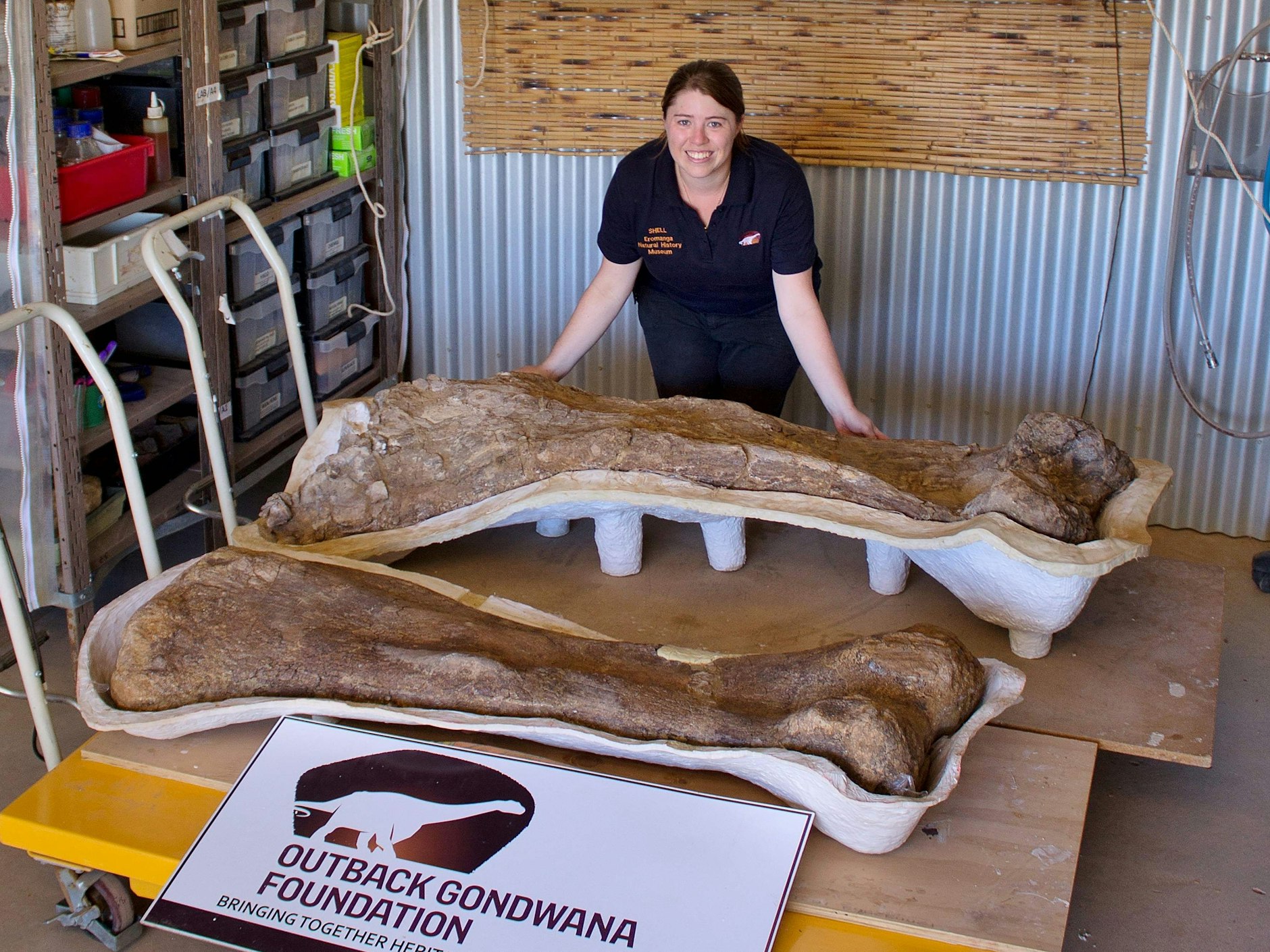 Knochenarbeit: die Dino-Fossilien im <a target="_blank" href="https://enhm.com.au/">Eromanga-Naturkundemuseums in Queensland</a>