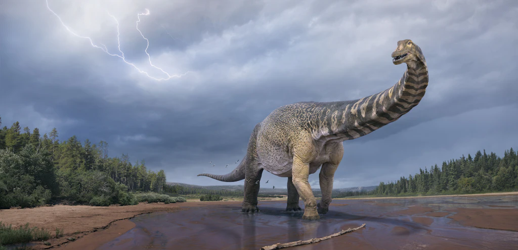 Riesige Dinosaurierart in Australien entdeckt
