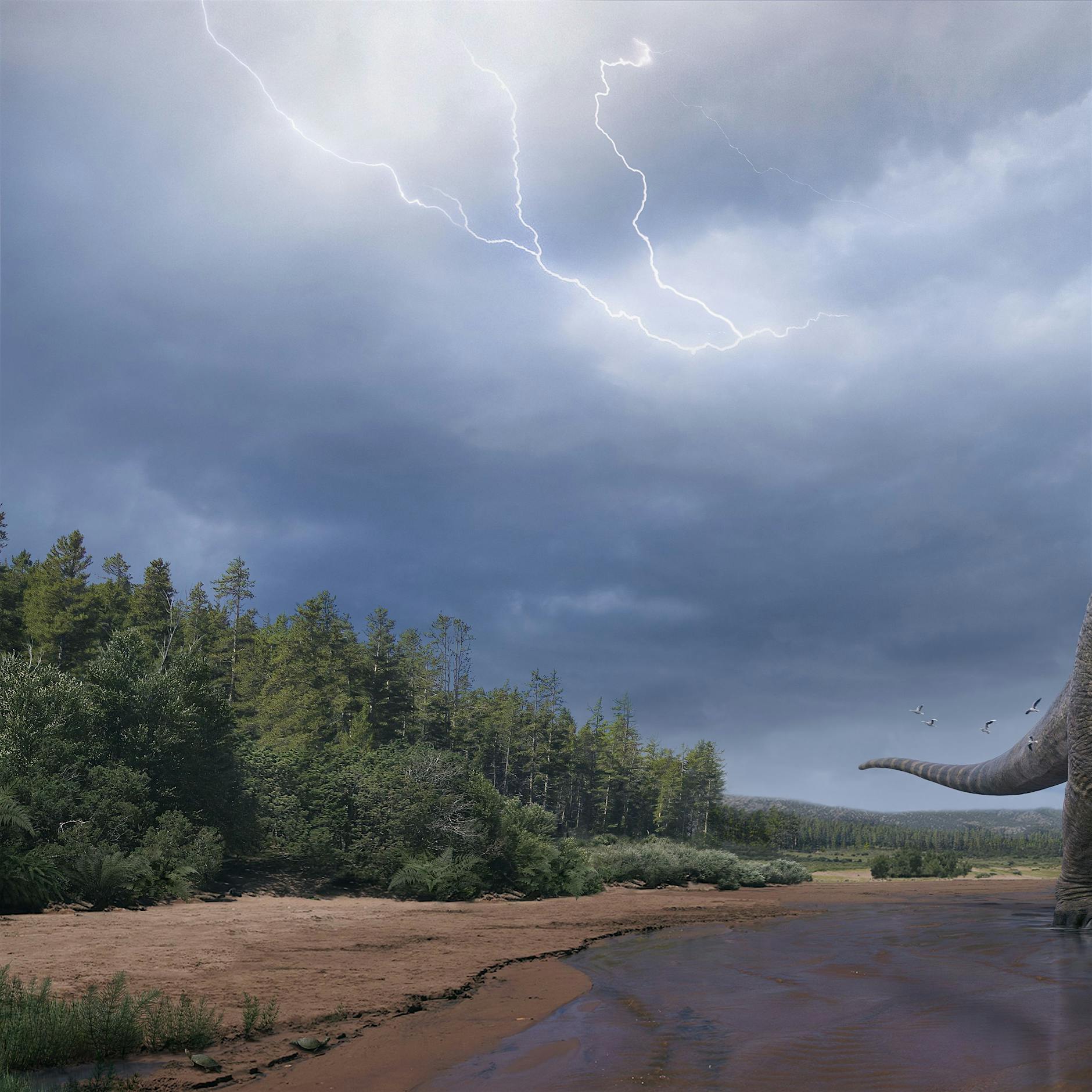 Riesige Dinosaurierart in Australien entdeckt