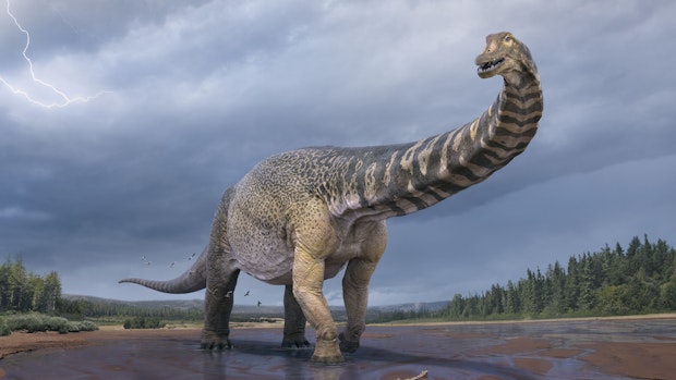 Kohlenstoff aus 50 000 jahren