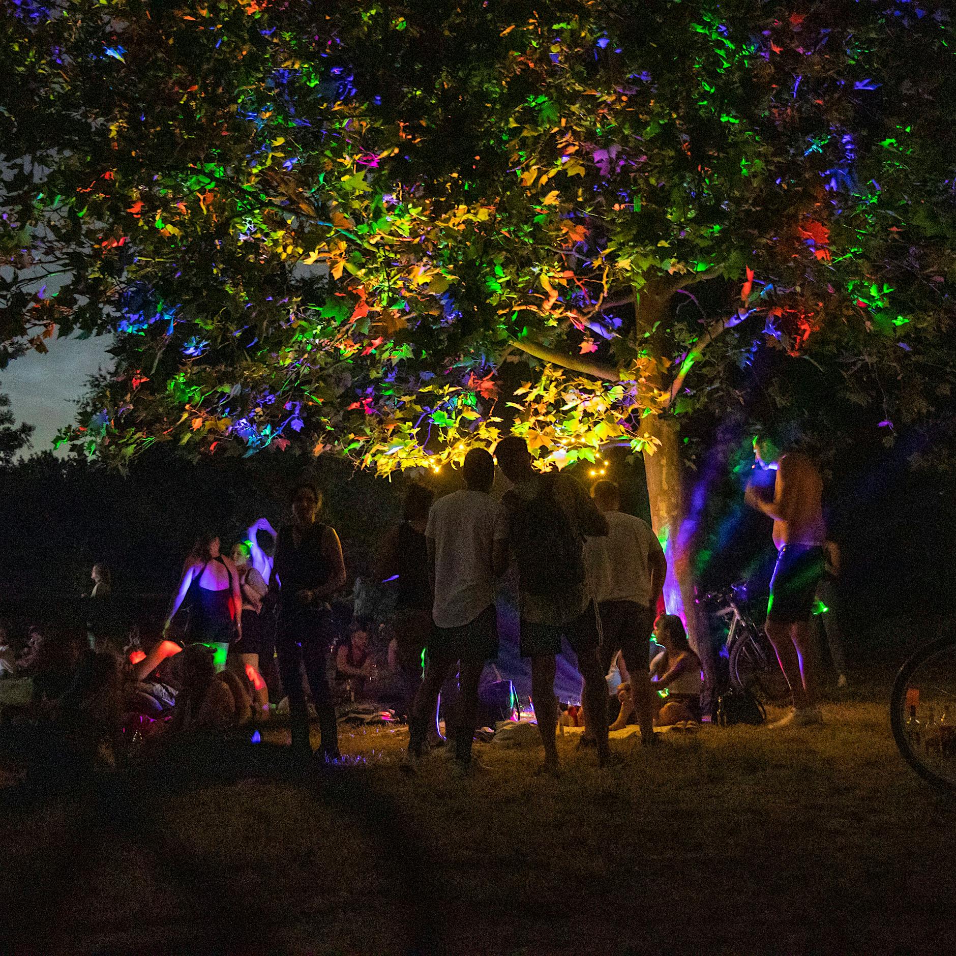 Forscher zu Park-Partys in Berlin: Die Jugend ist bereit, Regeln zu brechen