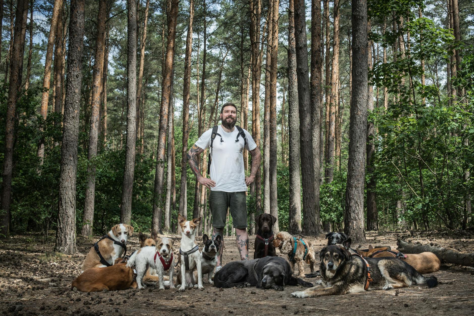Dogwalker Oliver Diekmann im Grunewald