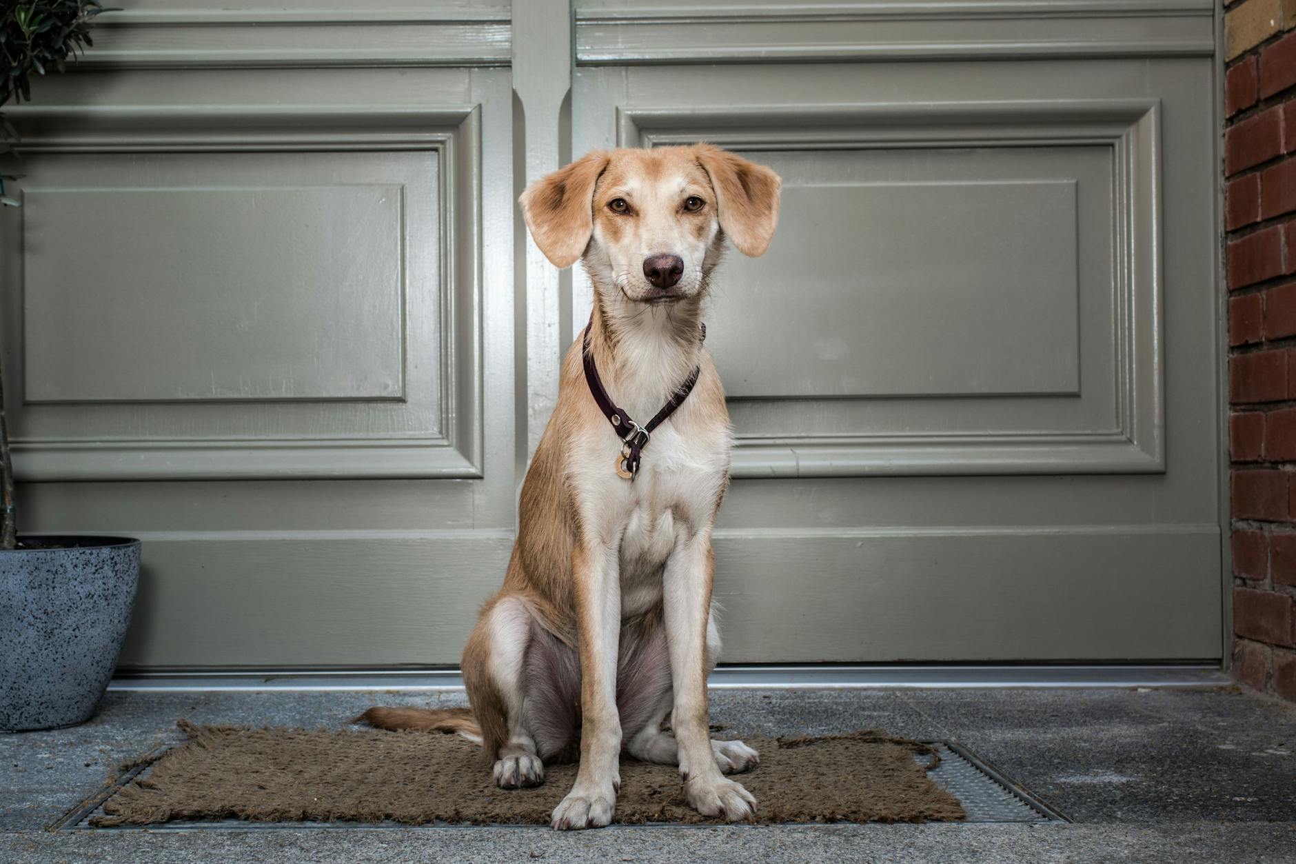 Lupita kam vor zwei Monaten aus Rumänien nach Lichtenberg.