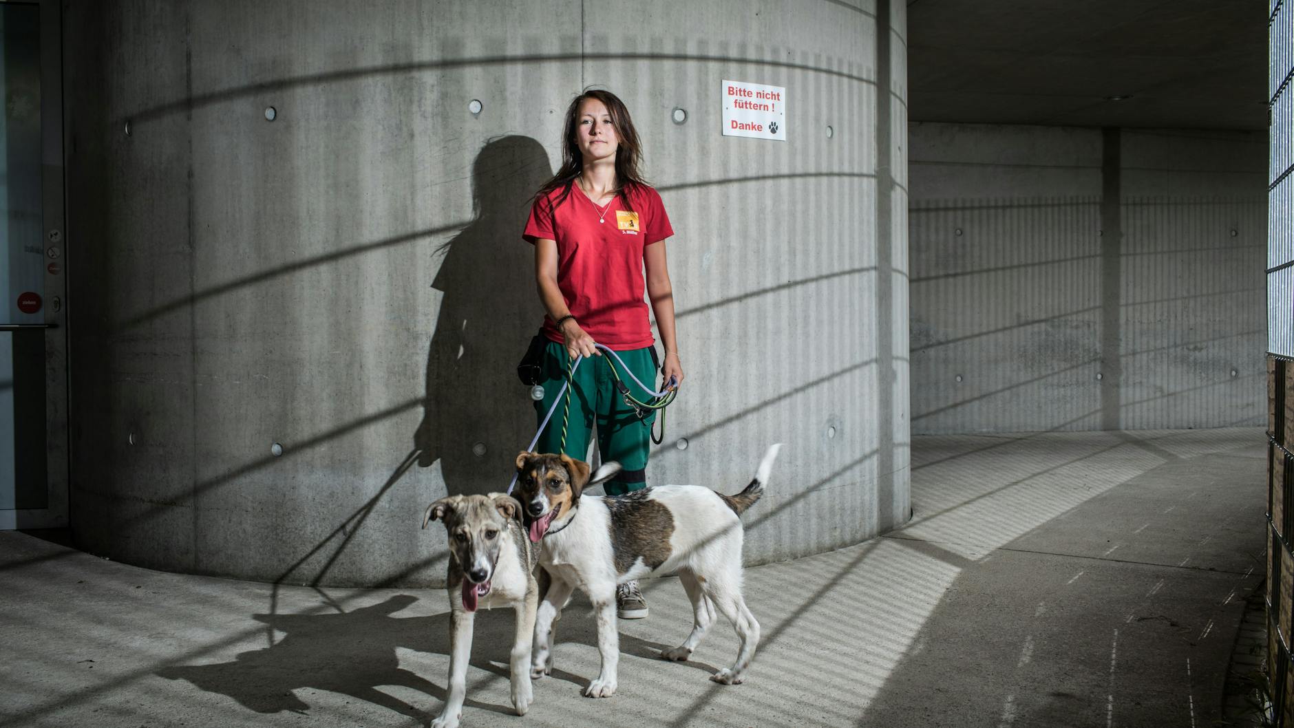 Tierpflegerin Sophie Müller mit Akela und Pocahontas im Tierheim Berlin