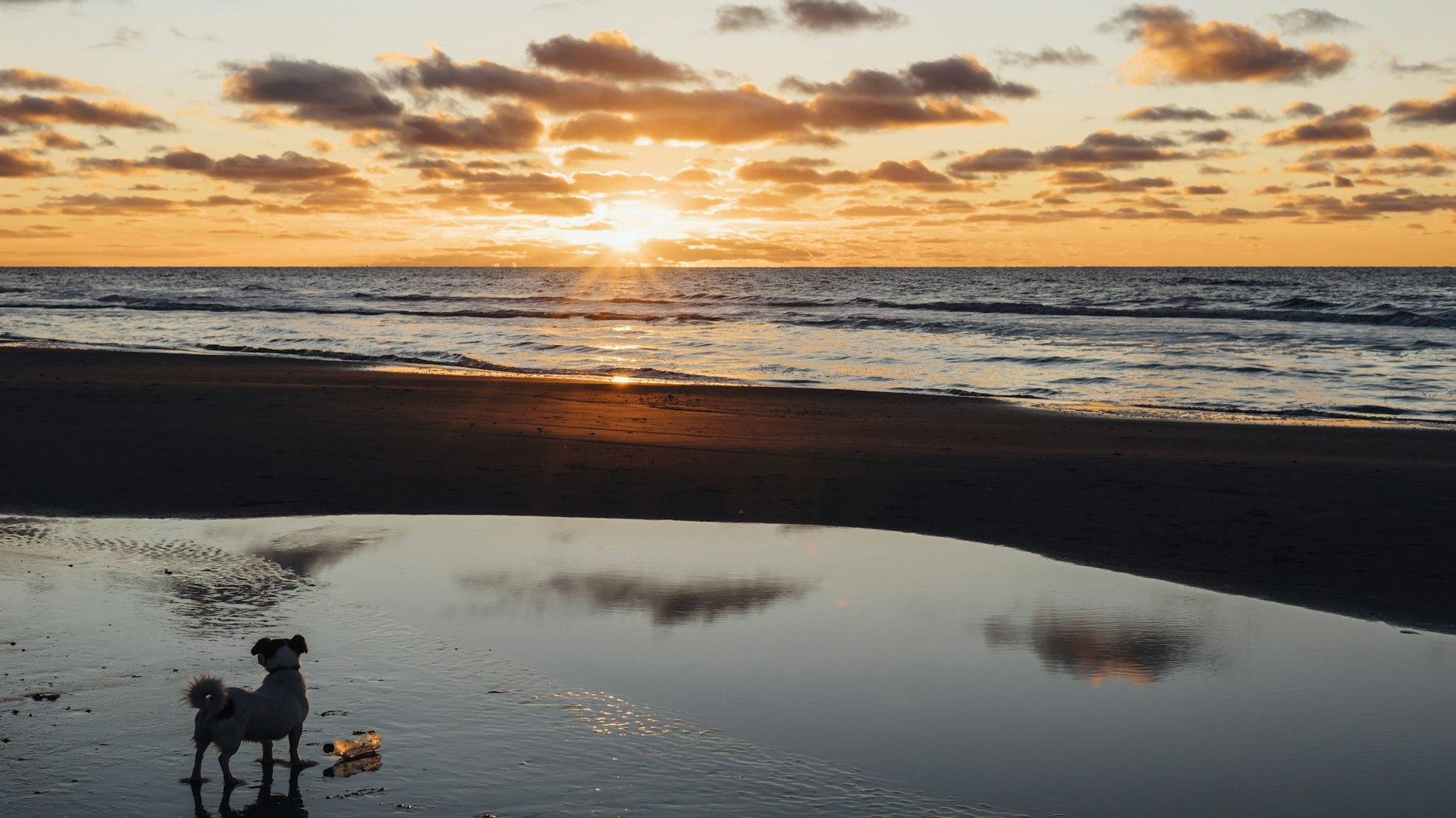 Ein Strand in Dänemark. 