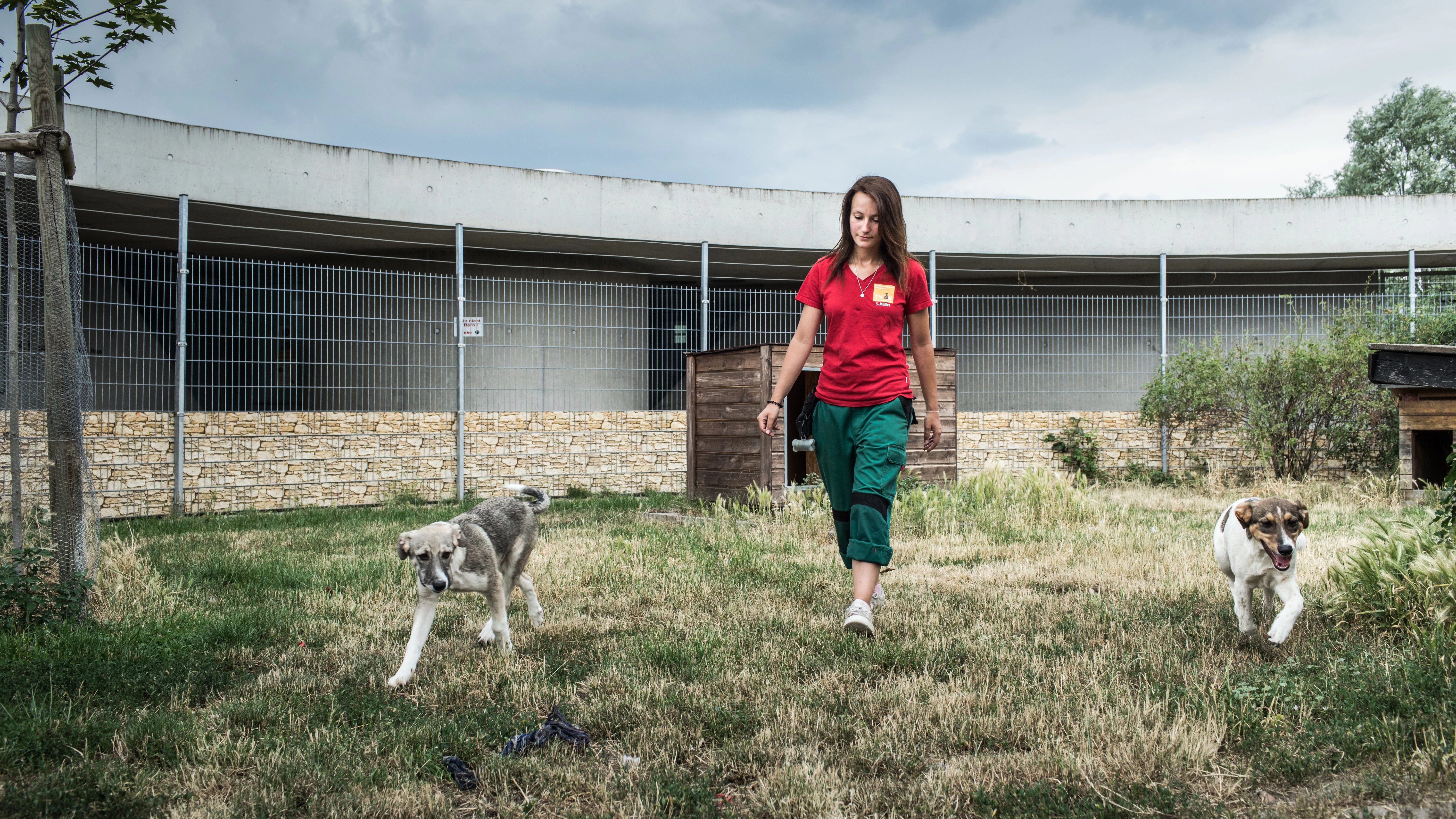 Akela und Pocahontas werden nur an Halter mit eigenem Garten vermittelt.