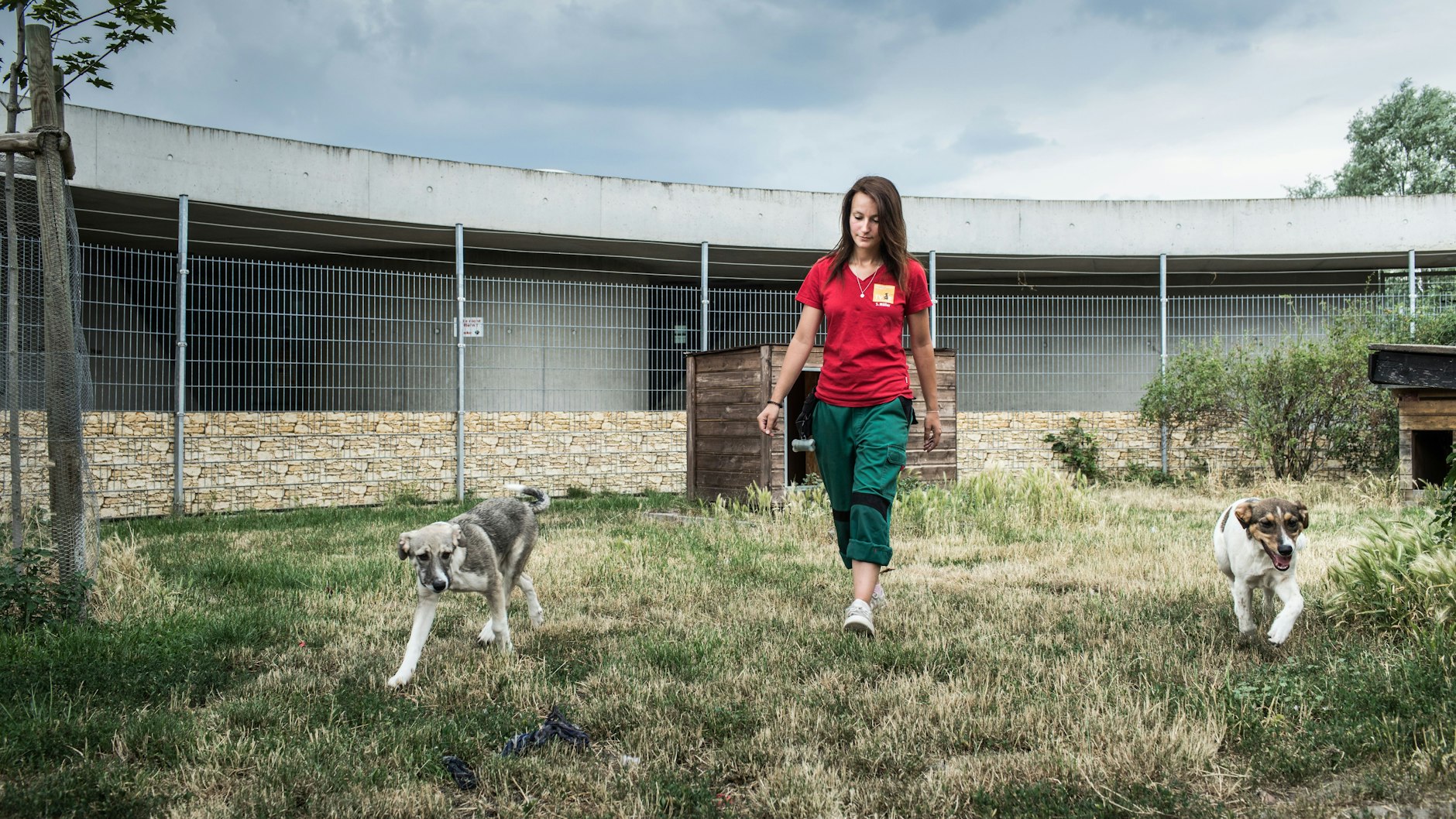 Akela und Pocahontas werden nur an Halter mit eigenem Garten vermittelt.