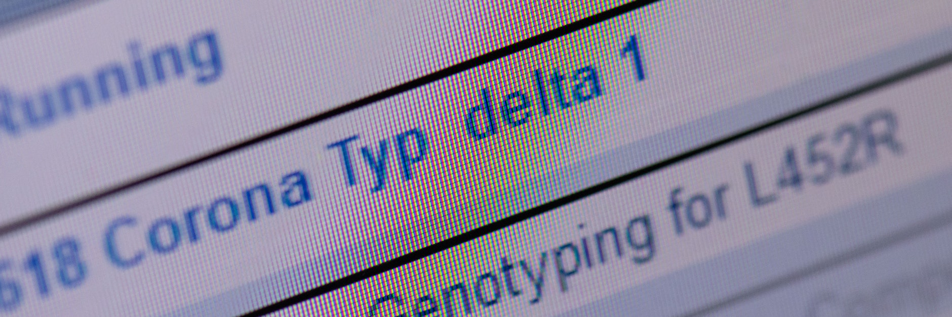 In einem Coronatest-Labor weist eine Zeile auf die Delta-Variante hin.