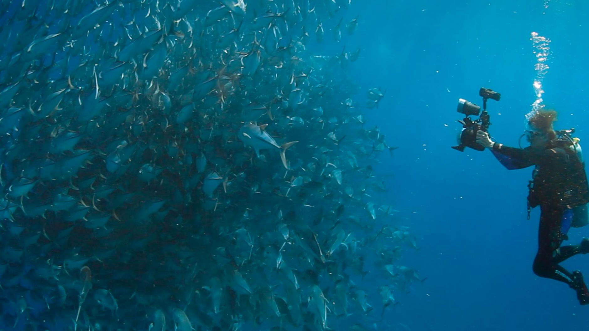 Szene aus Marc Bauders Filmessay „Wer wir waren“<br><br><br>