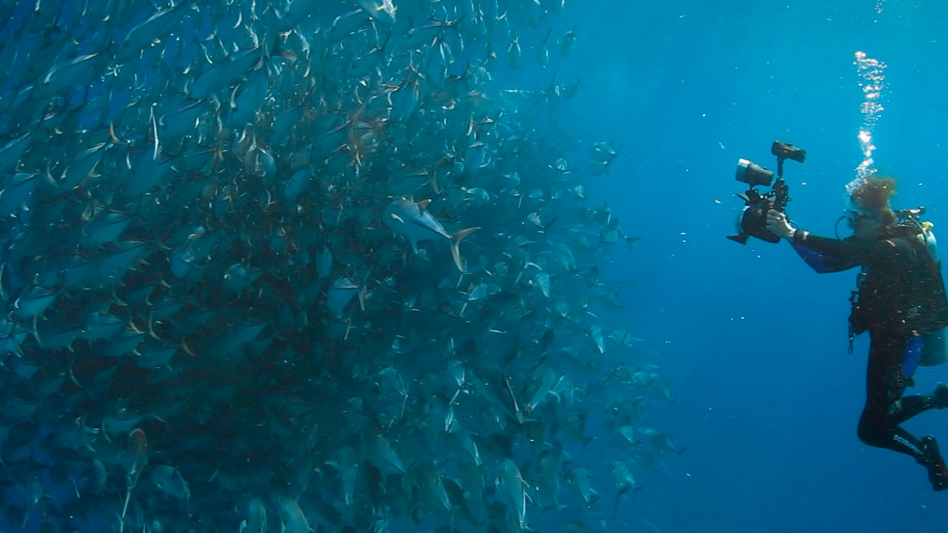 Szene aus Marc Bauders Filmessay „Wer wir waren“<br><br><br>