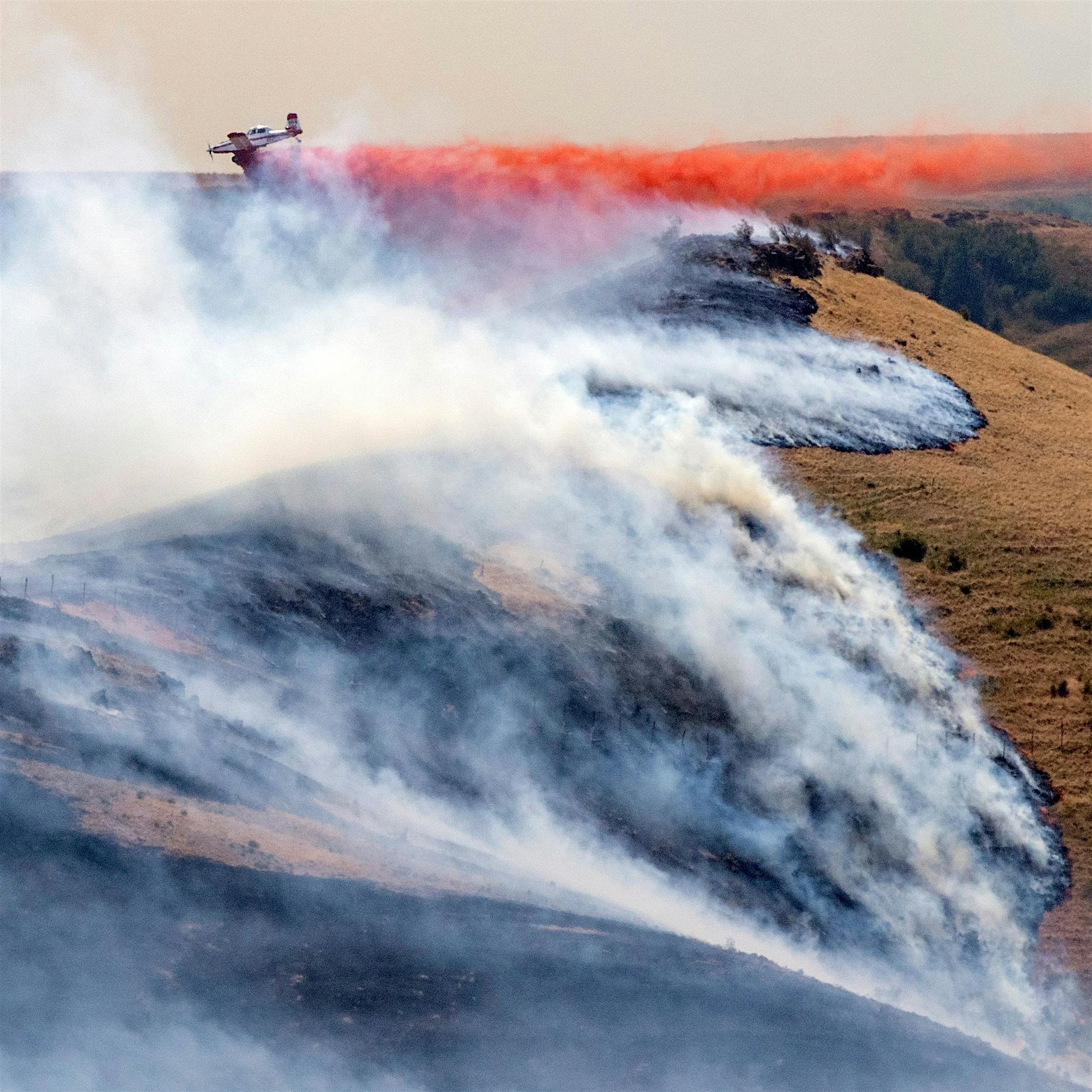 Studie: Klimawandel macht Hitzewellen 150 Mal wahrscheinlicher