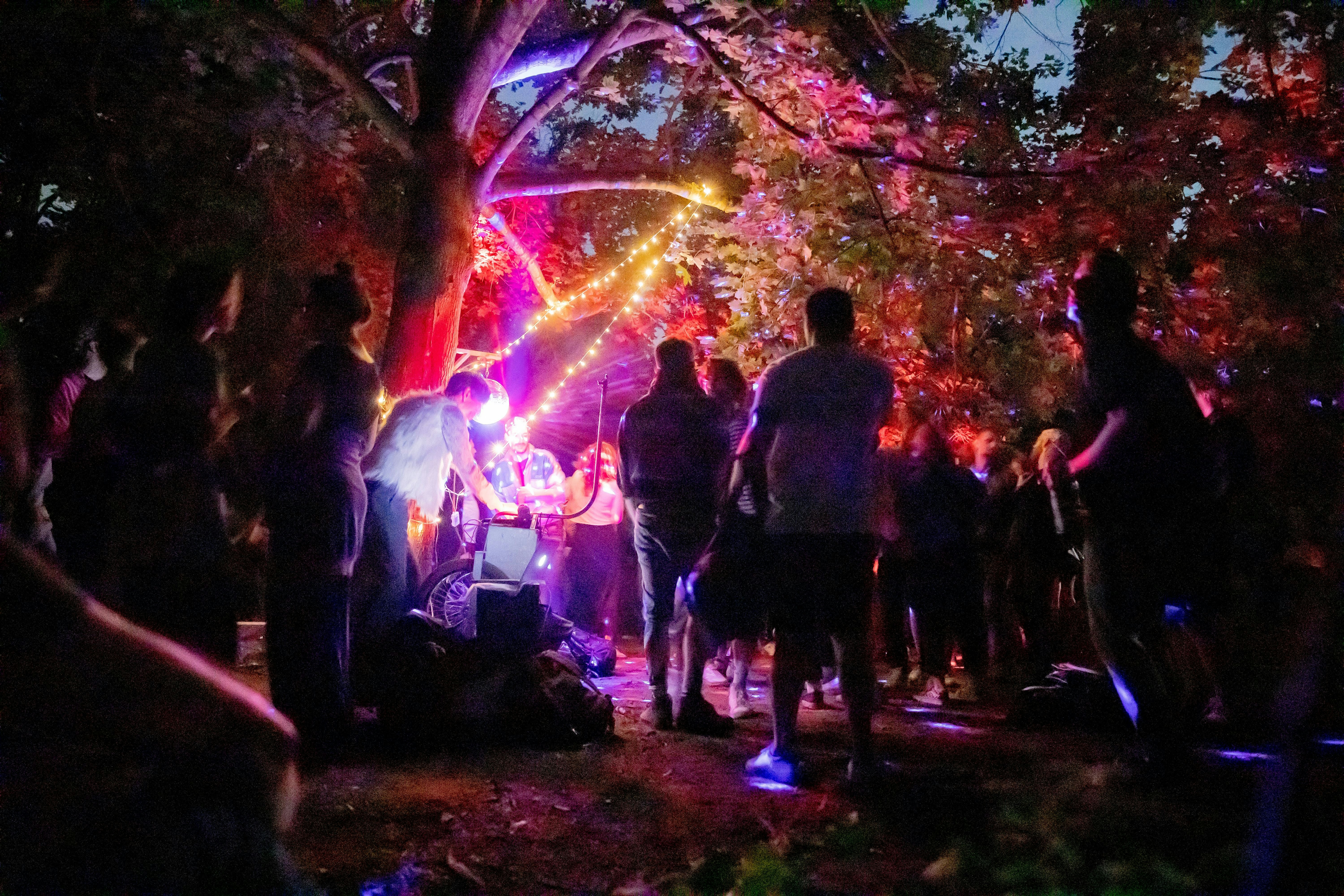 Kein Party-Lockdown im Park! Die Stadt gehört allen, auch lauten Leuten - Vimarsana News