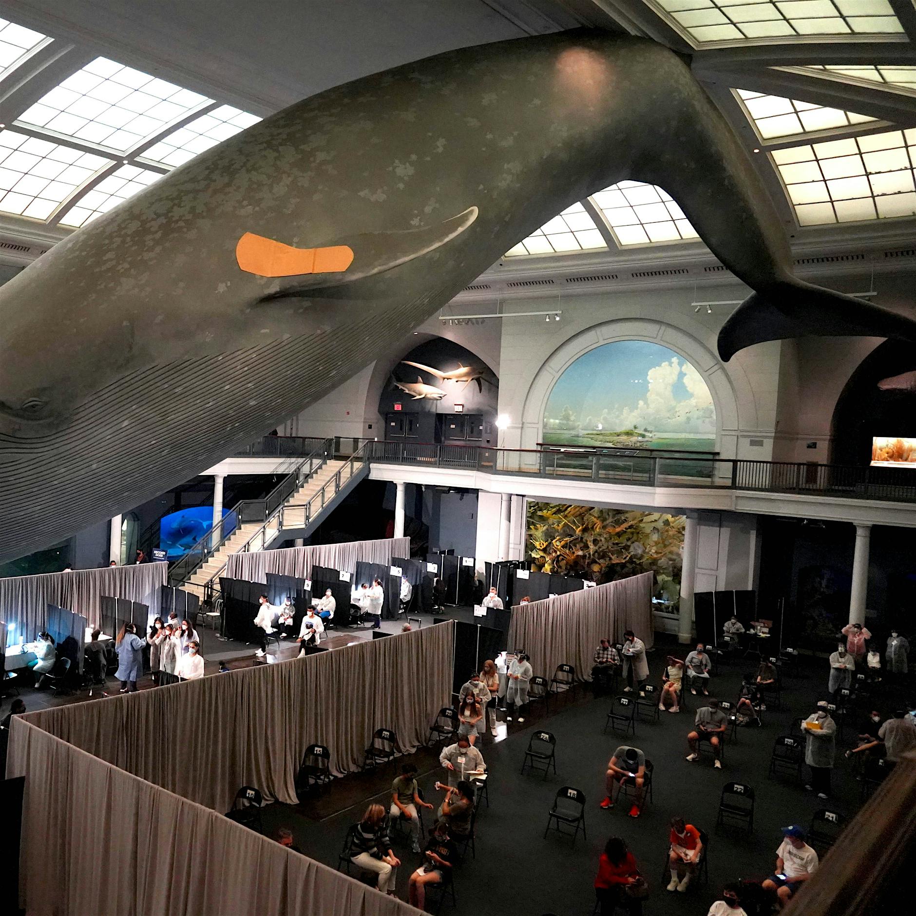 Wegen geringer Impfbereitschaft bei jungen Berlinern: 100 Euro Bonus als Anreiz?