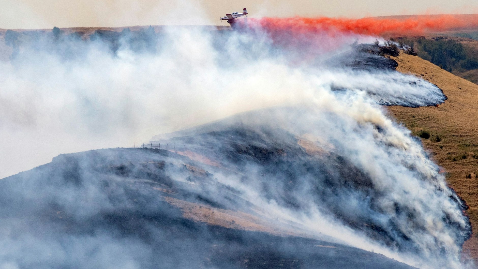 Ein Flugzeug wirft im Westen der USA Feuerschutzmittel ab, um das Asotin Complex Fire einzudämmen.