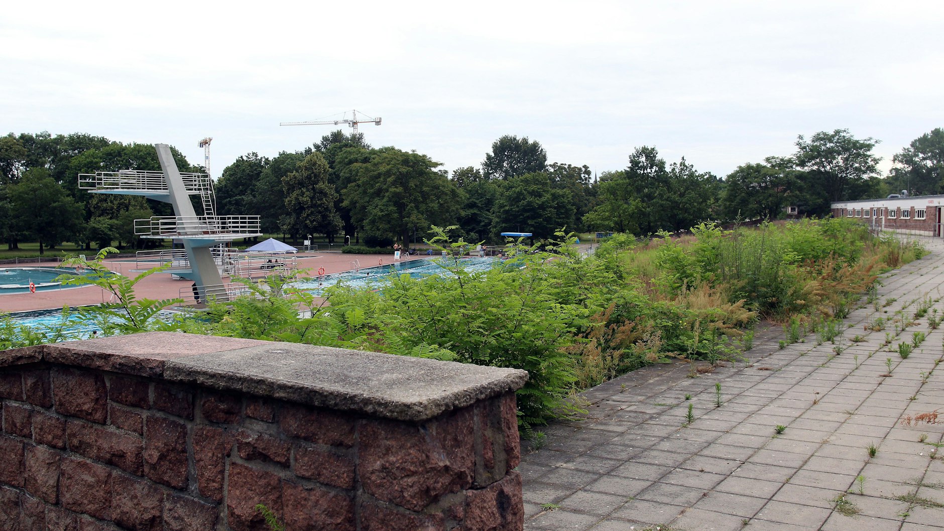 Die Terrassen im Sommerbad Pankow sollen wieder hergerichtet werden. Bis dahin hat die Natur fast freie Hand. 