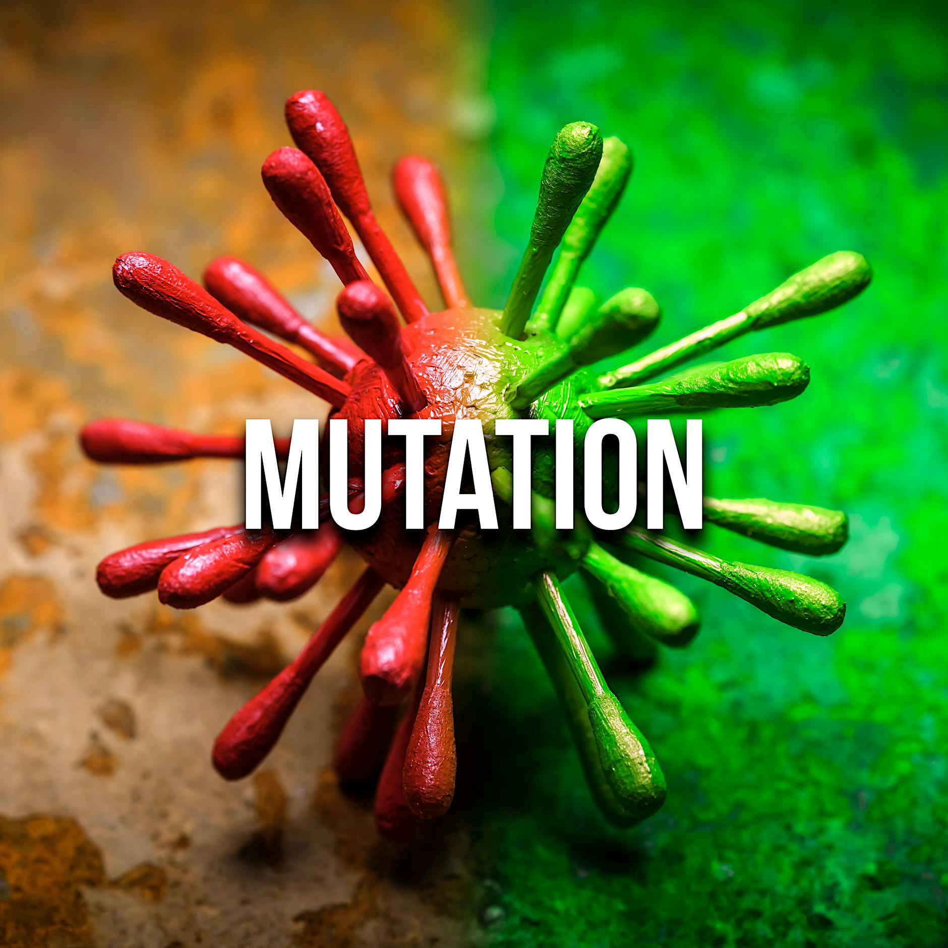 Frankreich meldet neue Corona-Variante B.1.640.2