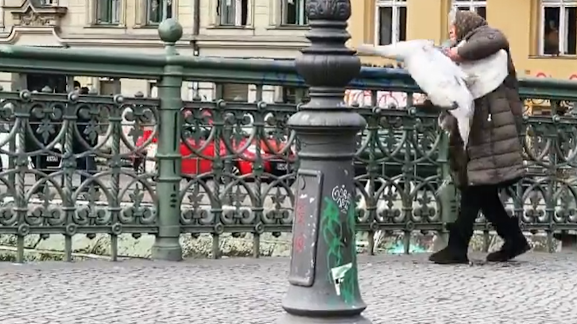 Mit beherztem Griff hat die alte Dame den Vogel gepackt, wirft ihn über das Brückengeländer.